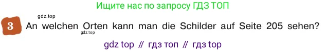 ГДЗ Немецкий язык (Deutsch), 8 класс учебник (lehrbuch), авторы: Бим Инесса Львовна (Bim I), Садомова Людмила Васильевна (Sadomova L), Крылова Жанета Яковлевна (Krylowa Schaneta), Санникова Лидия Михайловна (Sannikova L), Картова Алима Султановна, Чернявская Людмила Александровна, издательство Просвещение, Москва, 2023, жёлтого цвета, страница 205, номер 3, Условие