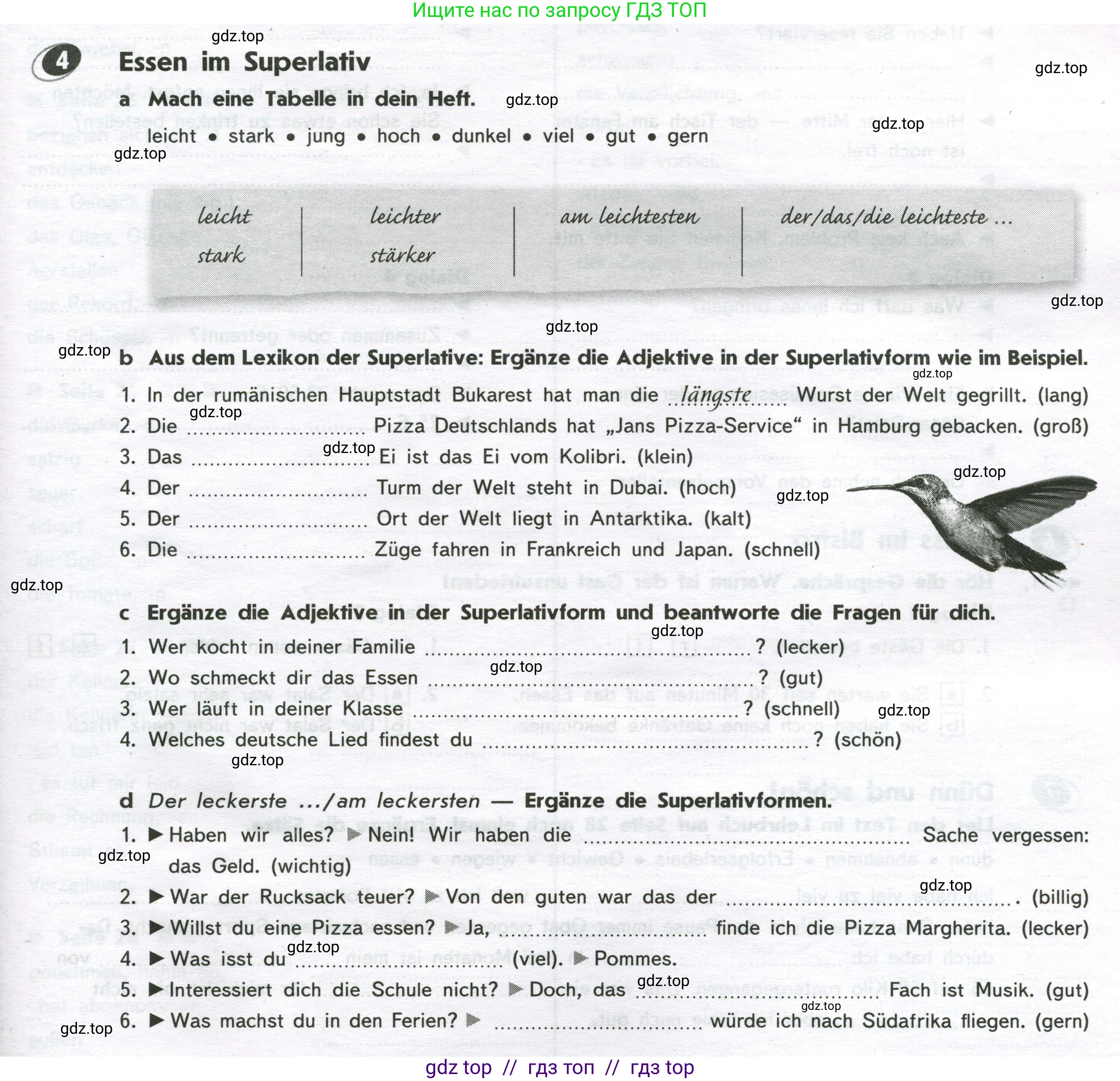 Немецкий язык (Deutsch), 9 класс рабочая тетрадь (arbeitsbuch), авторы: Аверин Михаил Михайлович (Awerin М), Джин Фридерике (Jin Friederike), Рорман Лутц (Rohrmann Lutz), Михалак Магдалена (Michalak Magdalena), издательство Просвещение, Москва, 2024, оранжевого цвета, страница 17, номер 4, Условие