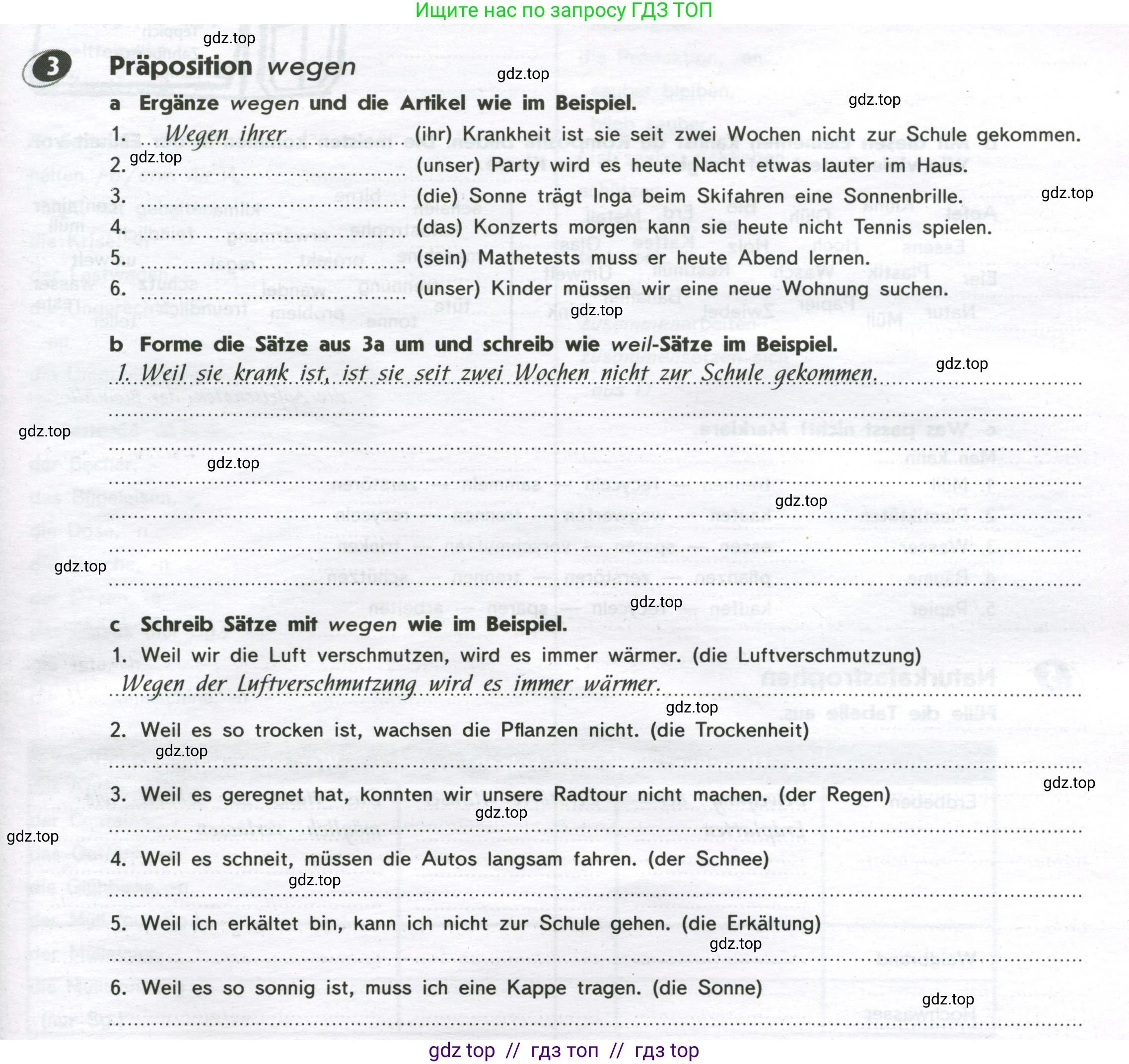 Немецкий язык (Deutsch), 9 класс рабочая тетрадь (arbeitsbuch), авторы: Аверин Михаил Михайлович (Awerin М), Джин Фридерике (Jin Friederike), Рорман Лутц (Rohrmann Lutz), Михалак Магдалена (Michalak Magdalena), издательство Просвещение, Москва, 2024, оранжевого цвета, страница 29, номер 3, Условие