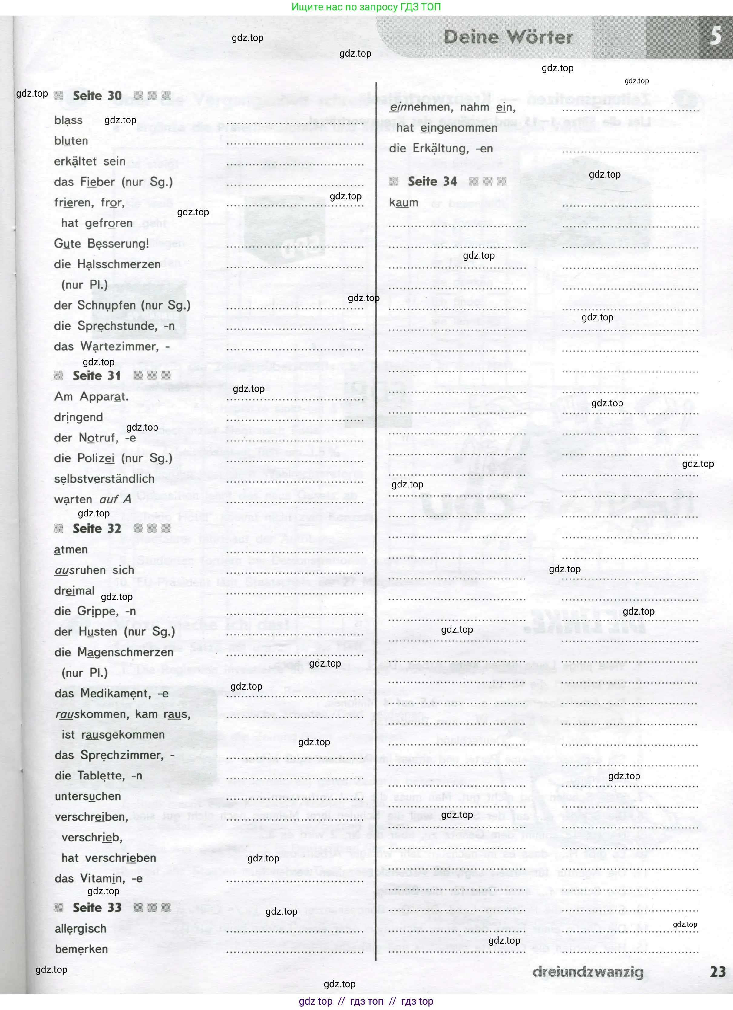 Немецкий язык (Deutsch), 9 класс рабочая тетрадь (arbeitsbuch), авторы: Аверин Михаил Михайлович (Awerin М), Джин Фридерике (Jin Friederike), Рорман Лутц (Rohrmann Lutz), Михалак Магдалена (Michalak Magdalena), издательство Просвещение, Москва, 2024, оранжевого цвета, страница 23