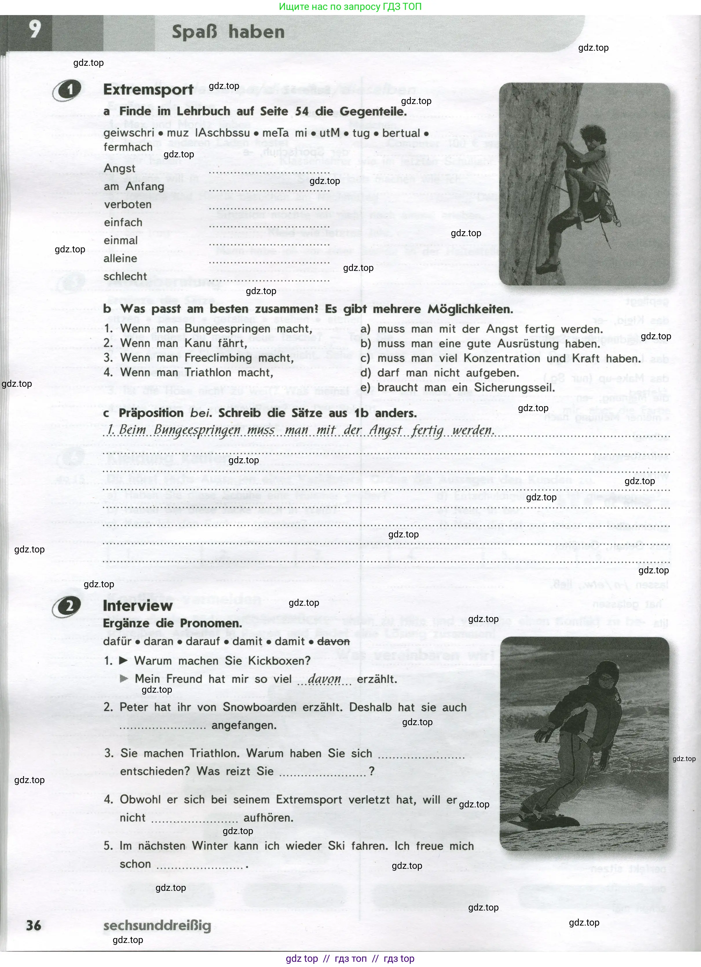 Немецкий язык (Deutsch), 9 класс рабочая тетрадь (arbeitsbuch), авторы: Аверин Михаил Михайлович (Awerin М), Джин Фридерике (Jin Friederike), Рорман Лутц (Rohrmann Lutz), Михалак Магдалена (Michalak Magdalena), издательство Просвещение, Москва, 2024, оранжевого цвета, страница 36