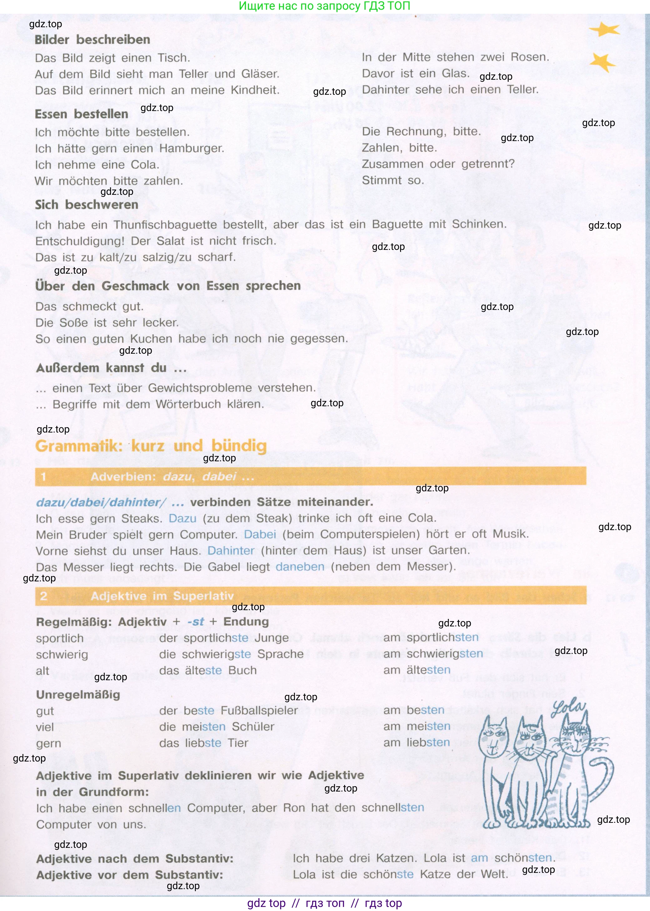 Немецкий язык (Deutsch), 9 класс учебник (lehrbuch), авторы: Аверин Михаил Михайлович (Awerin М), Джин Фридерике (Jin Friederike), Рорман Лутц (Rohrmann Lutz), Михалак Магдалена (Michalak Magdalena), издательство Просвещение, Москва, 2023, оранжевого цвета, страница 28, номер 7, Условие (продолжение 2)