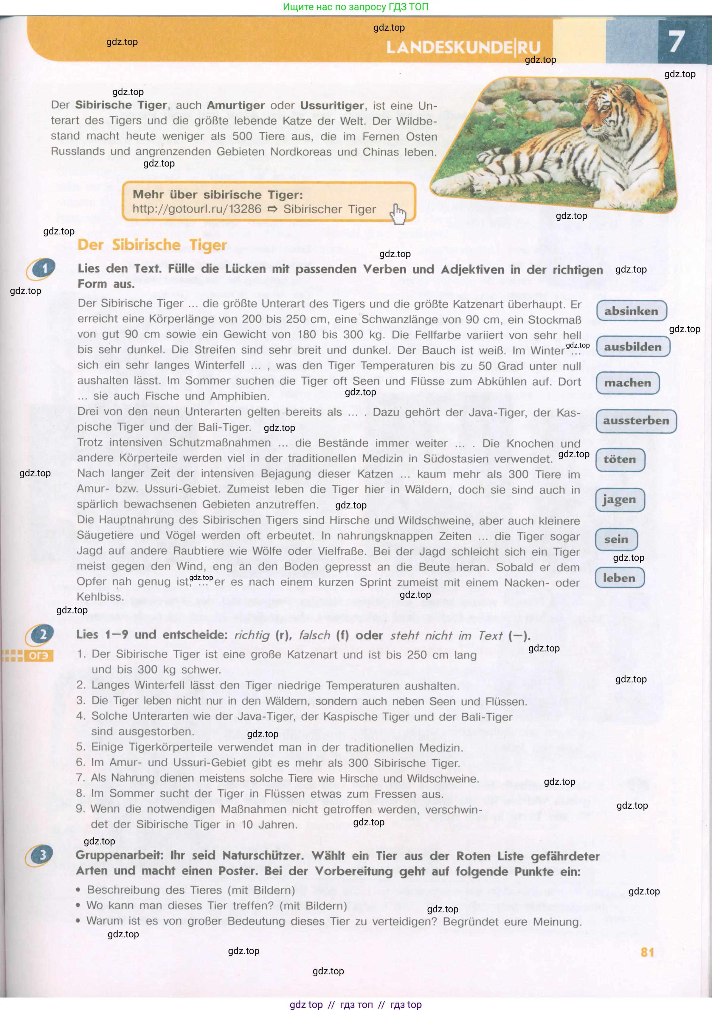 Немецкий язык (Deutsch), 9 класс учебник (lehrbuch), авторы: Аверин Михаил Михайлович (Awerin М), Джин Фридерике (Jin Friederike), Рорман Лутц (Rohrmann Lutz), Михалак Магдалена (Michalak Magdalena), издательство Просвещение, Москва, 2023, оранжевого цвета, страница 81