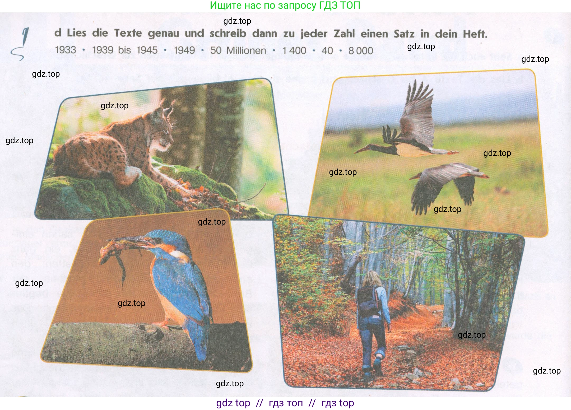 Немецкий язык (Deutsch), 9 класс учебник (lehrbuch), авторы: Аверин Михаил Михайлович (Awerin М), Джин Фридерике (Jin Friederike), Рорман Лутц (Rohrmann Lutz), Михалак Магдалена (Michalak Magdalena), издательство Просвещение, Москва, 2023, оранжевого цвета, страница 67, номер 1, Условие (продолжение 3)