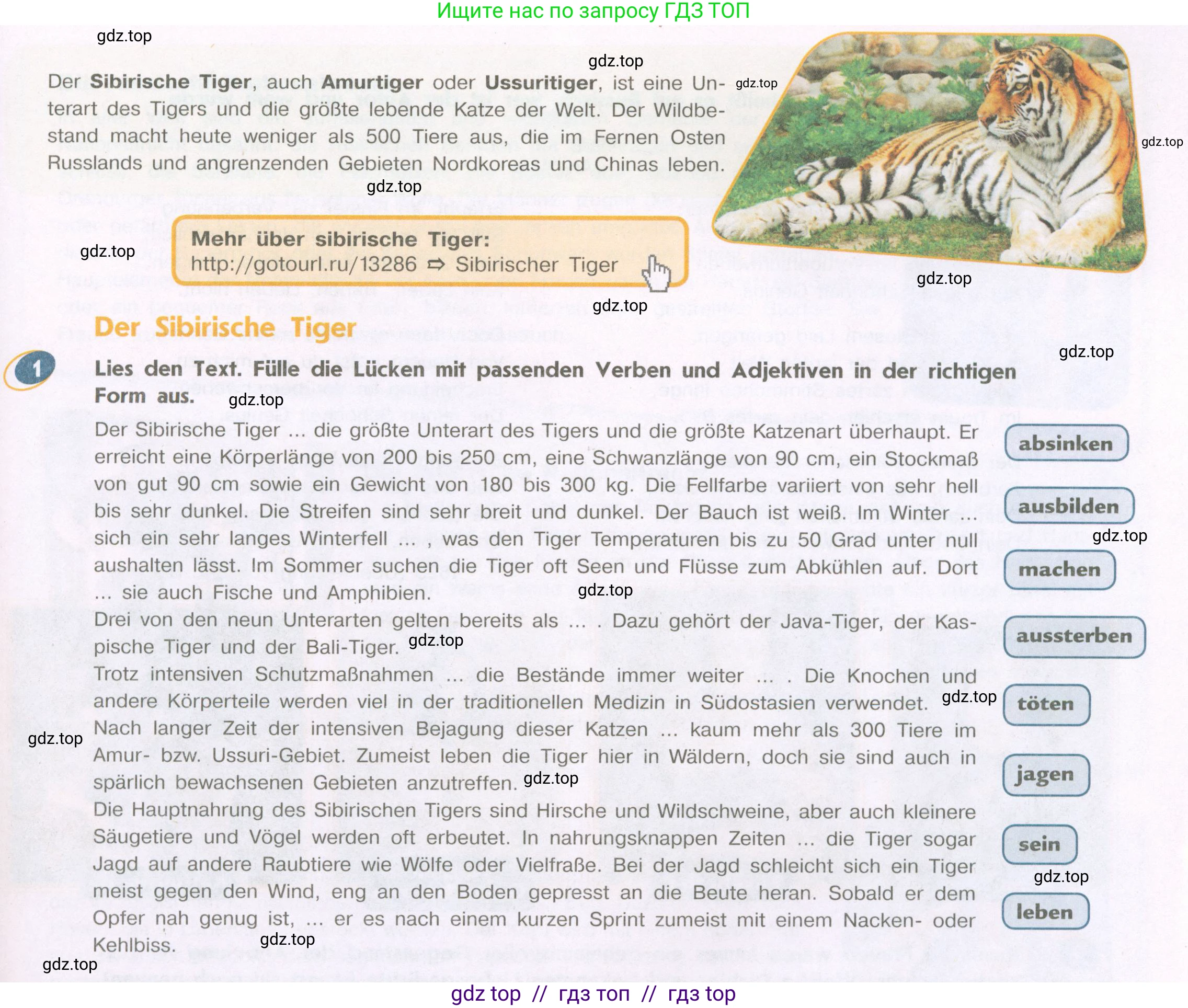 Немецкий язык (Deutsch), 9 класс учебник (lehrbuch), авторы: Аверин Михаил Михайлович (Awerin М), Джин Фридерике (Jin Friederike), Рорман Лутц (Rohrmann Lutz), Михалак Магдалена (Michalak Magdalena), издательство Просвещение, Москва, 2023, оранжевого цвета, страница 81, номер 1, Условие