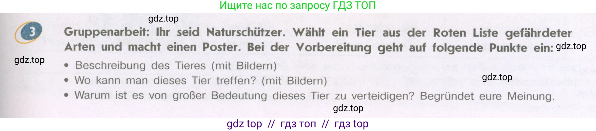 Немецкий язык (Deutsch), 9 класс учебник (lehrbuch), авторы: Аверин Михаил Михайлович (Awerin М), Джин Фридерике (Jin Friederike), Рорман Лутц (Rohrmann Lutz), Михалак Магдалена (Michalak Magdalena), издательство Просвещение, Москва, 2023, оранжевого цвета, страница 81, номер 3, Условие