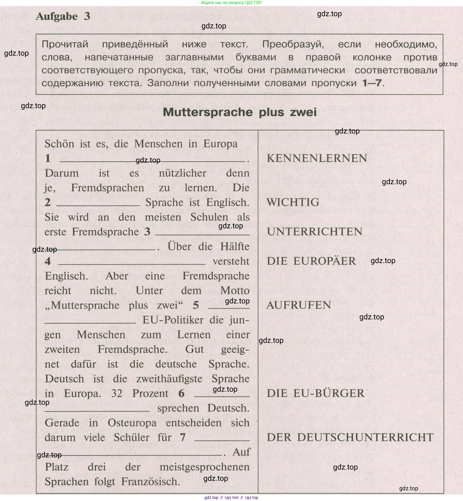Немецкий язык (Deutsch), 9 класс рабочая тетрадь (arbeitsbuch), авторы: Бим Инесса Львовна (Bim I), Лытаева Мария Александровна (Lytajewa M), издательство Просвещение, Москва, 2021 - 2023, бирюзового цвета, страница 41, номер 3, Условие