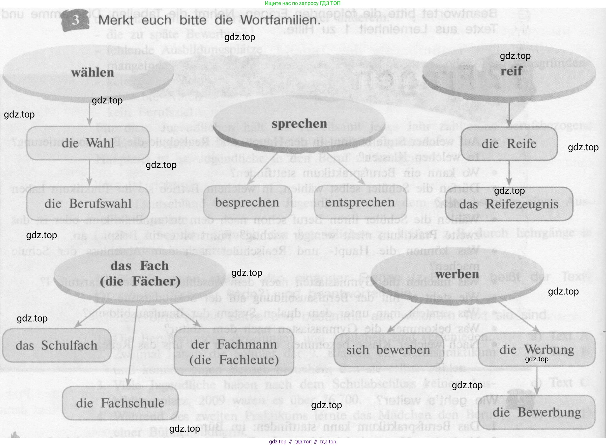 Немецкий язык (Deutsch), 9 класс учебник (lehrbuch), авторы: Бим Инесса Львовна (Bim I), Садомова Людмила Васильевна (Sadomova L), издательство Просвещение, Москва, 2023, бирюзового цвета, страница 128, номер 3, Условие 2015-2022