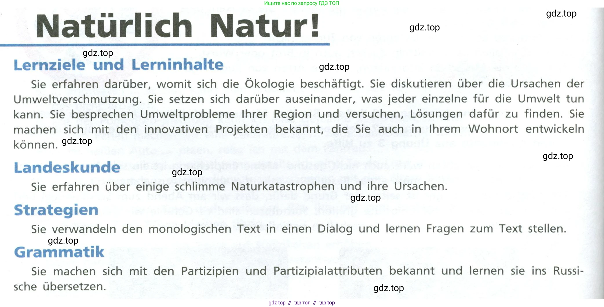 ГДЗ Немецкий язык (Deutsch), 10 класс учебник (lehrbuch), авторы: Бим Инесса Львовна (Bim I), Лытаева Мария Александровна (Lytajewa M), издательство Просвещение, Москва, 2023, страница 100, Условие