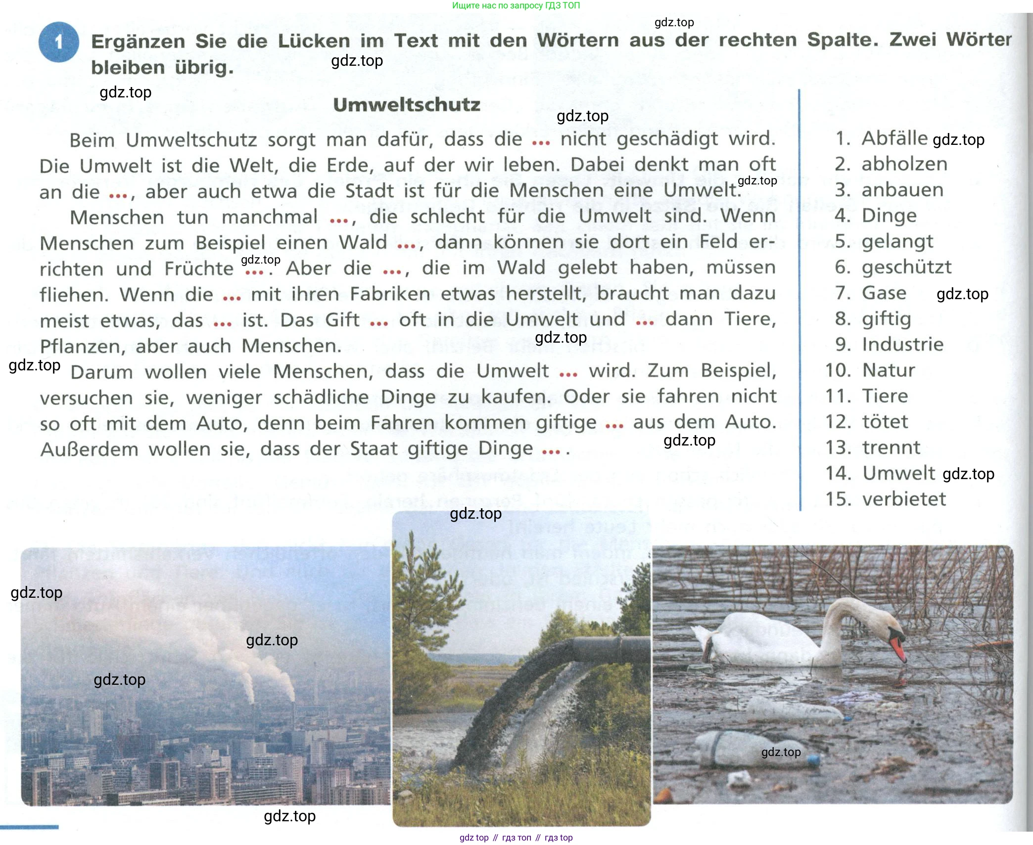 ГДЗ Немецкий язык (Deutsch), 10 класс учебник (lehrbuch), авторы: Бим Инесса Львовна (Bim I), Лытаева Мария Александровна (Lytajewa M), издательство Просвещение, Москва, 2023, страница 112, номер 1, Условие