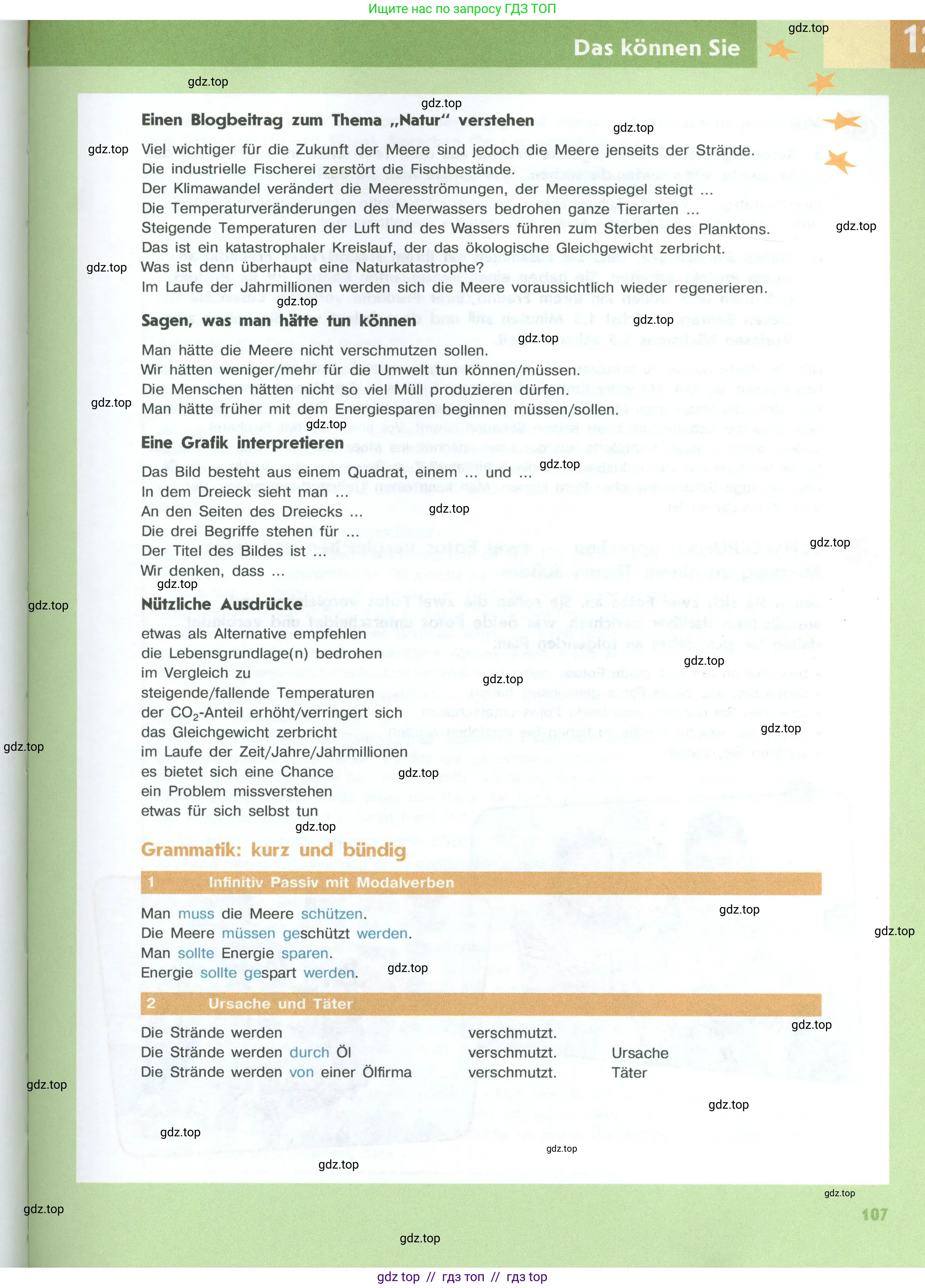 Немецкий язык (Deutsch), 10 класс учебник (lehrbuch), авторы: Аверин Михаил Михайлович (Awerin М), Бажанов Александр Евгеньевич, Фурманова София Львовна, Джин Фридерике (Jin Friederike), Рорман Лутц (Rohrmann Lutz), Михалак Магдалена (Michalak Magdalena), Фосс Уте (Voß Ute), издательство Просвещение, Москва, 2019, страница 107