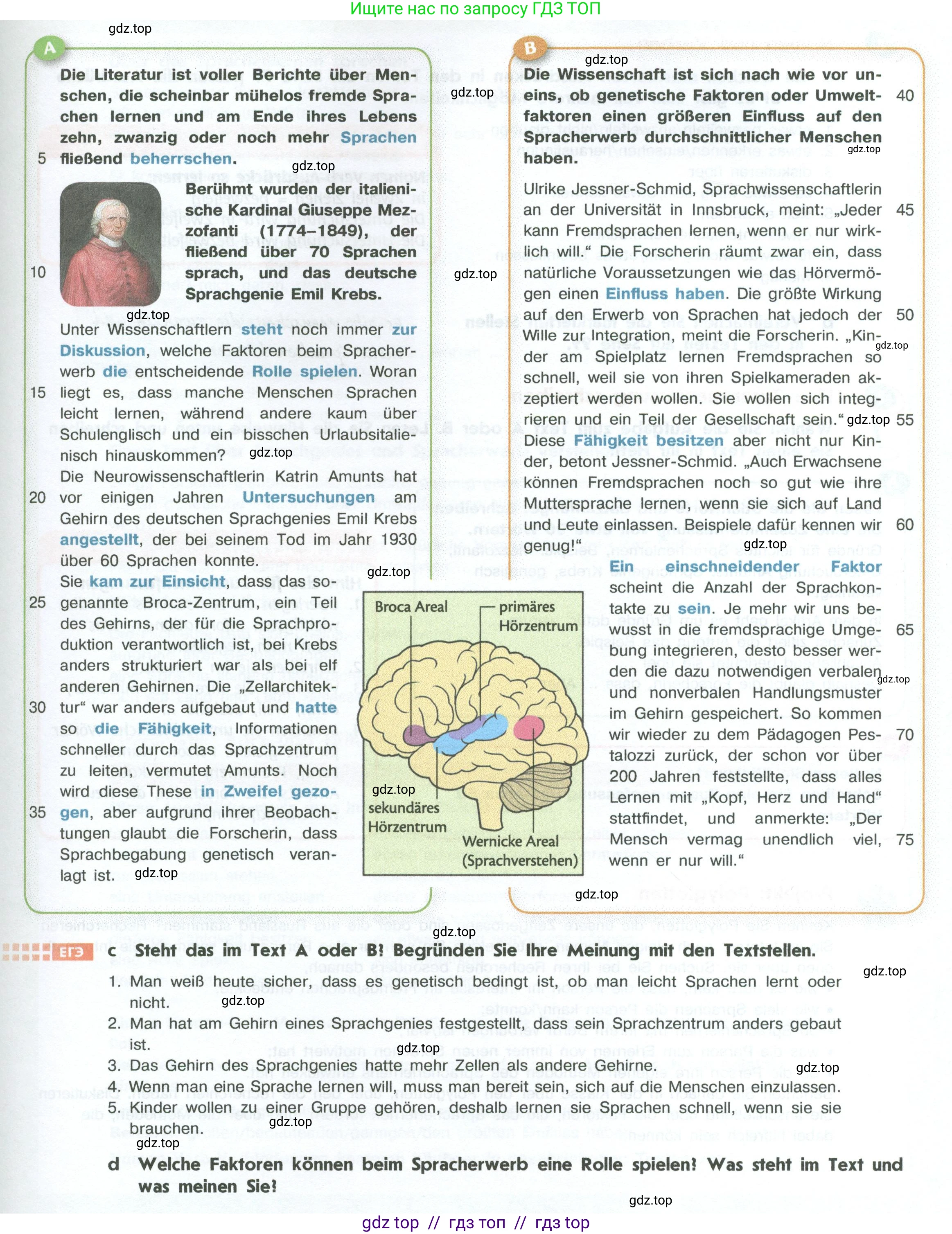 Немецкий язык (Deutsch), 10 класс учебник (lehrbuch), авторы: Аверин Михаил Михайлович (Awerin М), Бажанов Александр Евгеньевич, Фурманова София Львовна, Джин Фридерике (Jin Friederike), Рорман Лутц (Rohrmann Lutz), Михалак Магдалена (Michalak Magdalena), Фосс Уте (Voß Ute), издательство Просвещение, Москва, 2019, страница 98, номер 5, Условие (продолжение 2)