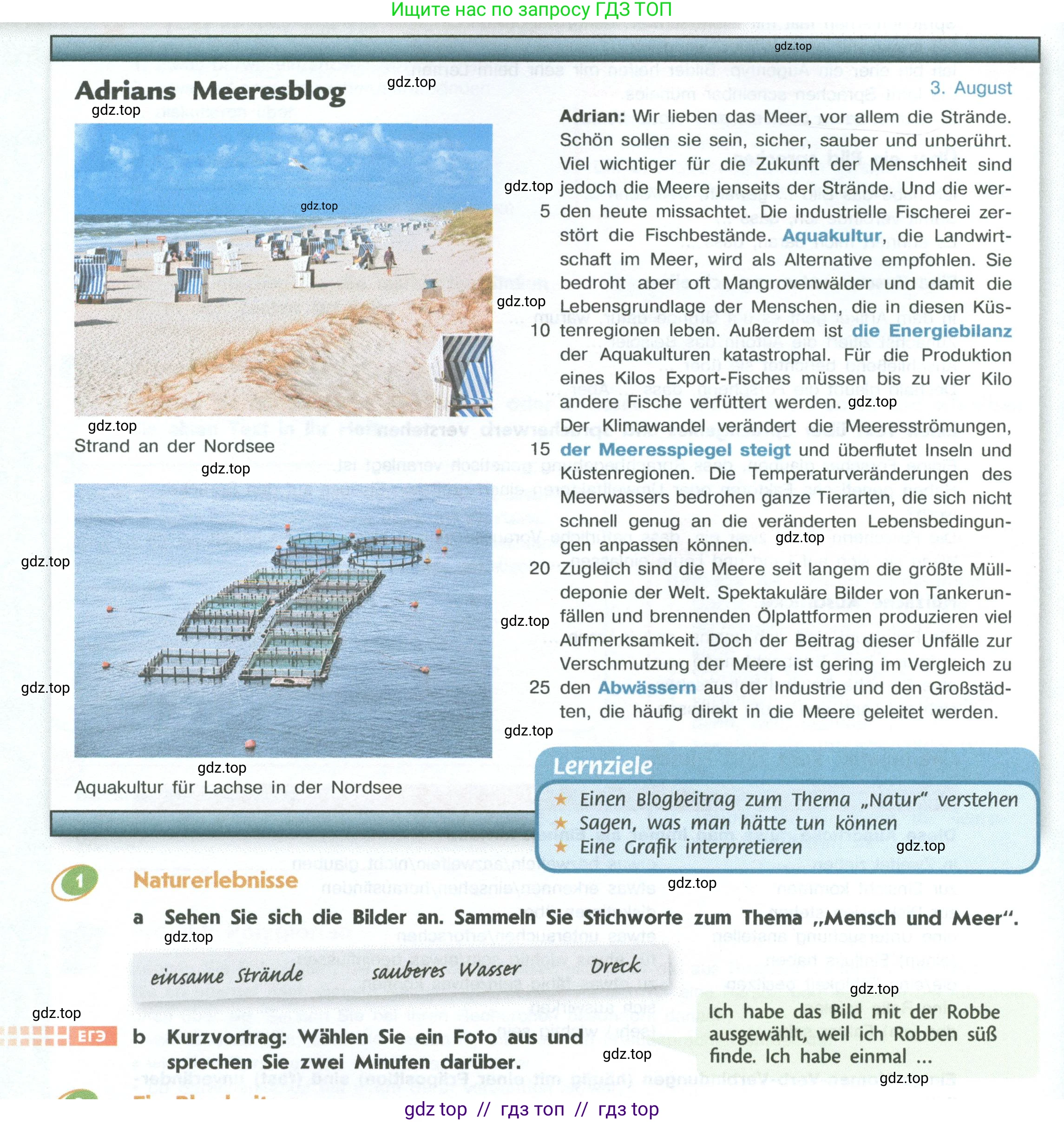 Немецкий язык (Deutsch), 10 класс учебник (lehrbuch), авторы: Аверин Михаил Михайлович (Awerin М), Бажанов Александр Евгеньевич, Фурманова София Львовна, Джин Фридерике (Jin Friederike), Рорман Лутц (Rohrmann Lutz), Михалак Магдалена (Michalak Magdalena), Фосс Уте (Voß Ute), издательство Просвещение, Москва, 2019, страница 102, номер 1, Условие