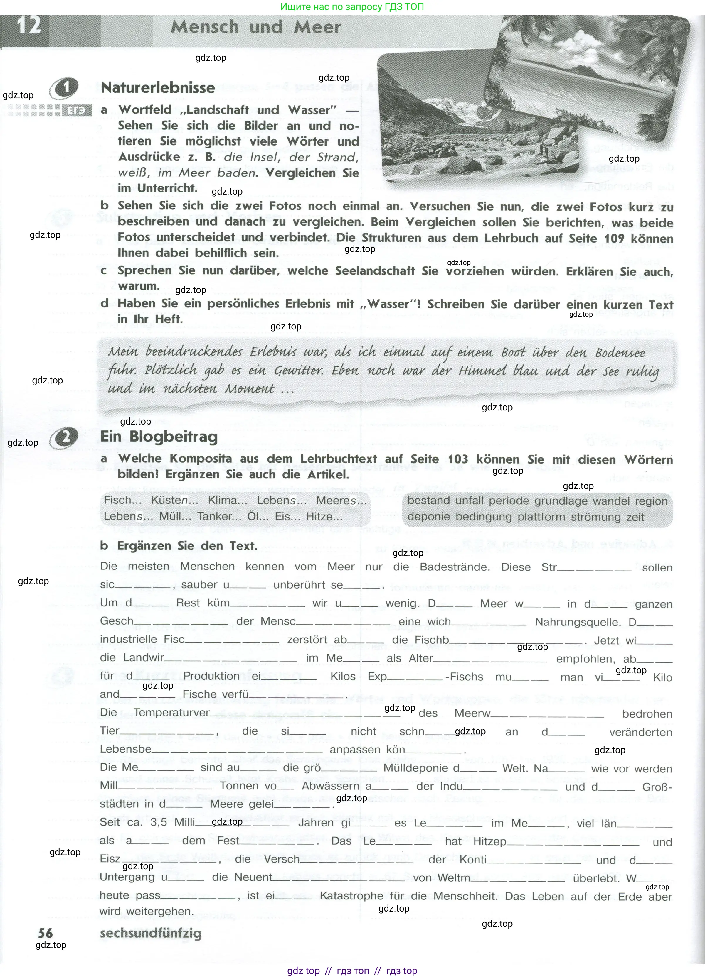 Немецкий язык (Deutsch), 10 класс рабочая тетрадь (arbeitsbuch), авторы: Бажанов Александр Евгеньевич, Фурманова София Львовна, Джин Фридерике (Jin Friederike), Рорман Лутц (Rohrmann Lutz), Михалак Магдалена (Michalak Magdalena), Фосс Уте (Voß Ute), издательство Просвещение, Москва, 2019, страница 56