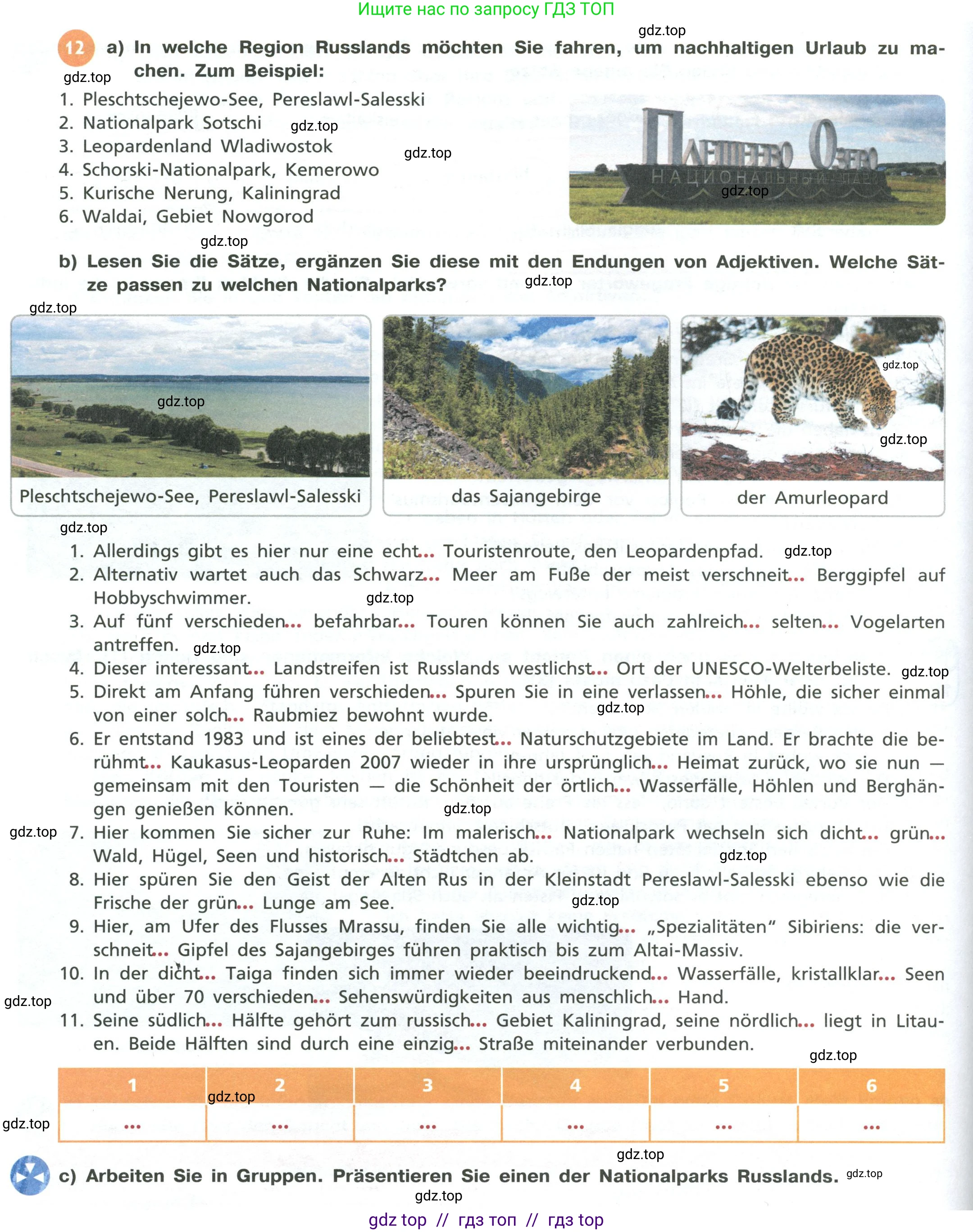 Немецкий язык (Deutsch), 11 класс учебник (lehrbuch), авторы: Бим Инесса Львовна (Bim I), Лытаева Мария Александровна (Lytajewa M), издательство Просвещение, Москва, страница 104, номер 12, Условие