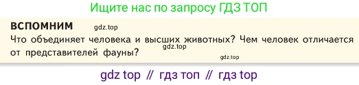 ГДЗ Обществознание, 6 класс Учебник, авторы: Боголюбов Леонид Наумович, Рутковская Елена Лазаревна, Иванова Людмила Фроловна, Виноградова Наталья Федоровна, Городецкая Наталия Ивановна, Лазебникова Анна Юрьевна, Лискова Татьяна Евгеньевна, Лобанов Илья Анатольевич, Французова Ольга Александровна, издательство Просвещение, Москва, 2023, оранжевого цвета, страница 6, Условие