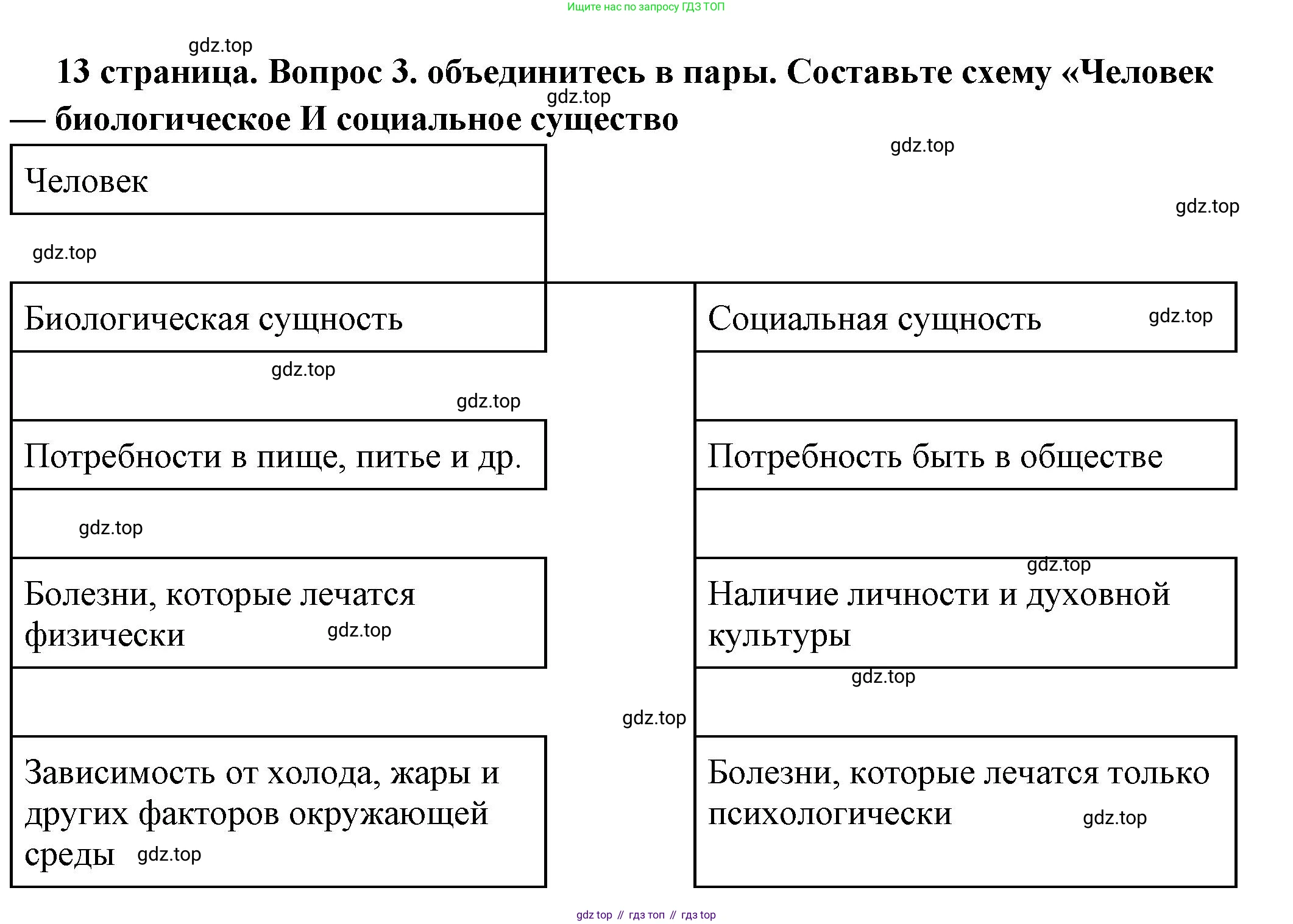 ГДЗ Обществознание, 6 класс Учебник, авторы: Боголюбов Леонид Наумович, Рутковская Елена Лазаревна, Иванова Людмила Фроловна, Виноградова Наталья Федоровна, Городецкая Наталия Ивановна, Лазебникова Анна Юрьевна, Лискова Татьяна Евгеньевна, Лобанов Илья Анатольевич, Французова Ольга Александровна, издательство Просвещение, Москва, 2023, оранжевого цвета, страница 13, номер 3, Решение (краткий ответ)