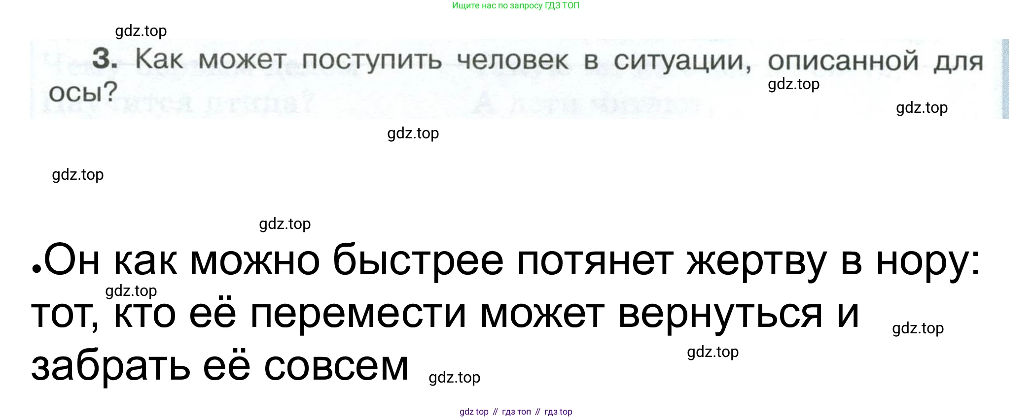 ГДЗ Обществознание, 6 класс рабочая тетрадь, автор: Иванова Людмила Фроловна, издательство Просвещение, Москва, 2023, оранжевого цвета, страница 7, номер 6, Решение (продолжение 3)