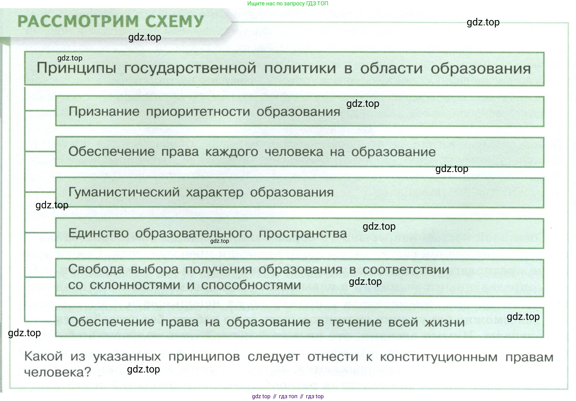 Обществознание, 8 класс Учебник, авторы: Боголюбов Леонид Наумович, Городецкая Наталия Ивановна, Иванова Людмила Фроловна, Лазебникова Анна Юрьевна, Рутковская Елена Лазаревна, Лобанов Илья Анатольевич, Французова Ольга Александровна, Зуев Василий Евгеньевич, Коланьков Александр Валерьевич, Бабенко Андрей Викторович, издательство Просвещение, Москва, 2023, зелёного цвета, страница 48, Условие