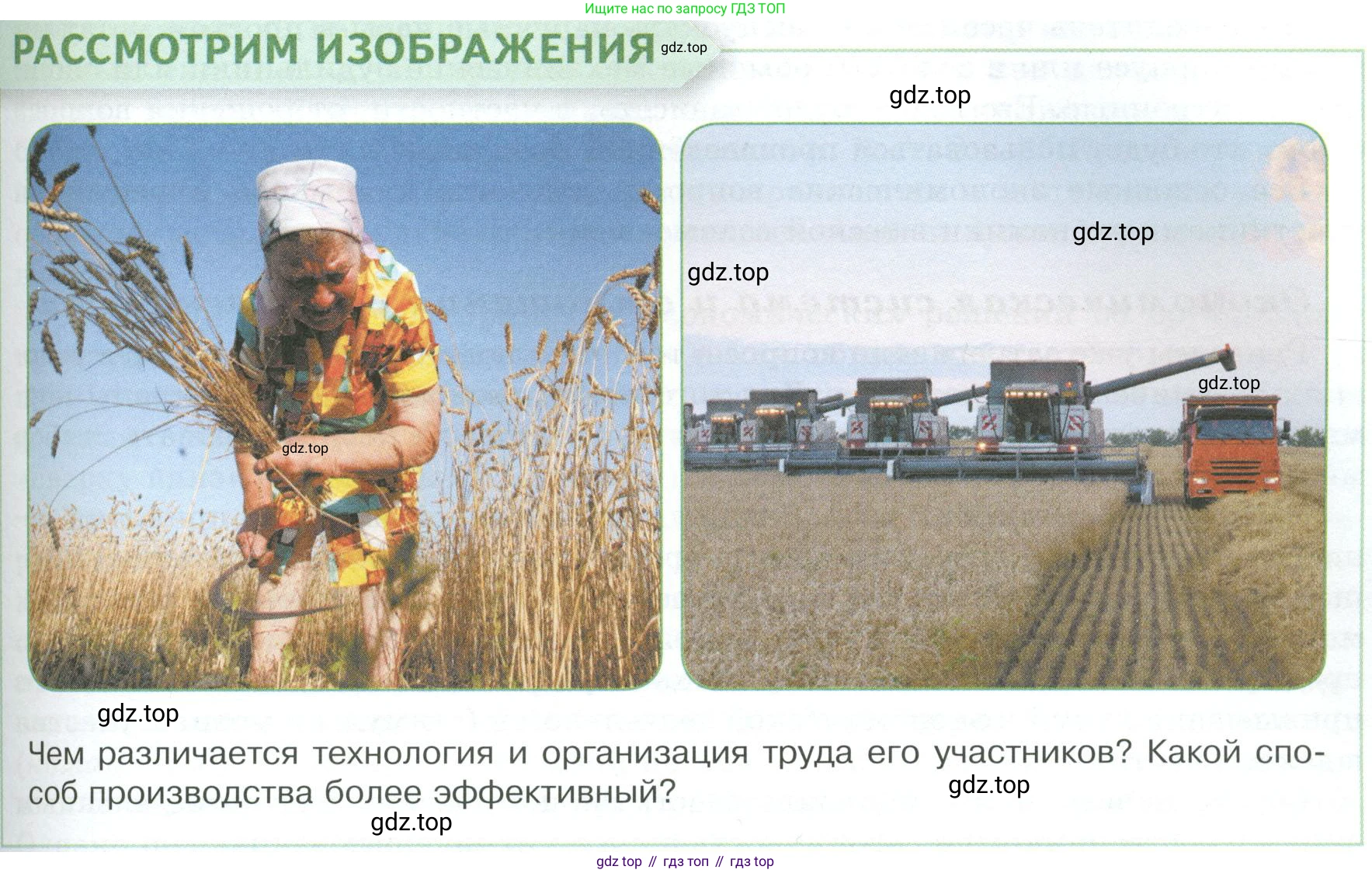 Обществознание, 8 класс Учебник, авторы: Боголюбов Леонид Наумович, Городецкая Наталия Ивановна, Иванова Людмила Фроловна, Лазебникова Анна Юрьевна, Рутковская Елена Лазаревна, Лобанов Илья Анатольевич, Французова Ольга Александровна, Зуев Василий Евгеньевич, Коланьков Александр Валерьевич, Бабенко Андрей Викторович, издательство Просвещение, Москва, 2023, зелёного цвета, страница 77, Условие