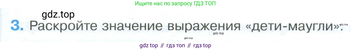 ГДЗ Обществознание, 8 класс рабочая тетрадь, авторы: Городецкая Наталия Ивановна, Рутковская Елена Лазаревна, издательство Просвещение, Москва, 2023, зелёного цвета, страница 14, номер 3, Условие