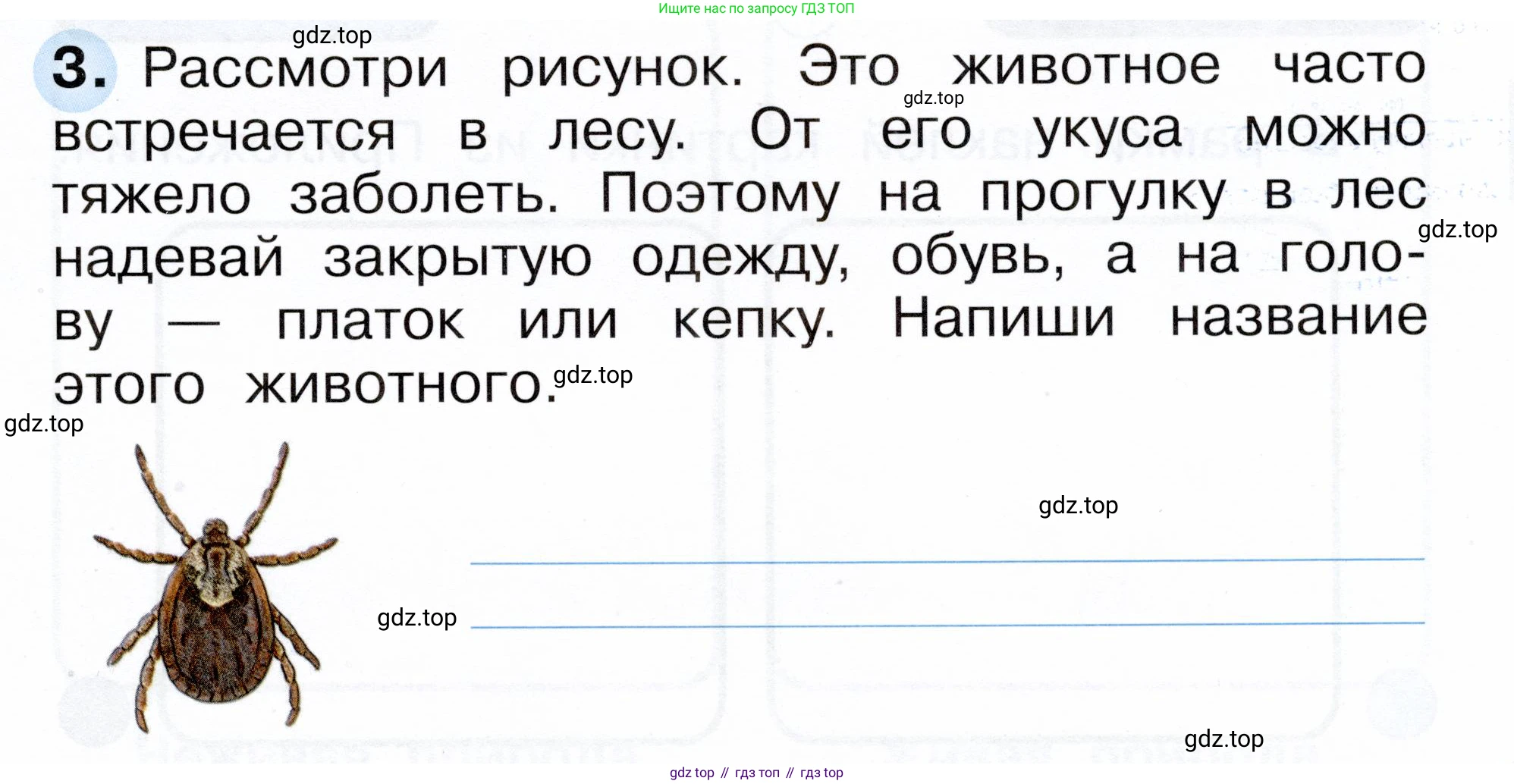 ГДЗ Окружающий мир, 1 класс рабочая тетрадь, авторы: Плешаков Андрей Анатольевич, Новицкая Марина Юрьевна, издательство Просвещение, Москва, 2023, белого цвета, Часть 1, страница 9, номер 3, Условие