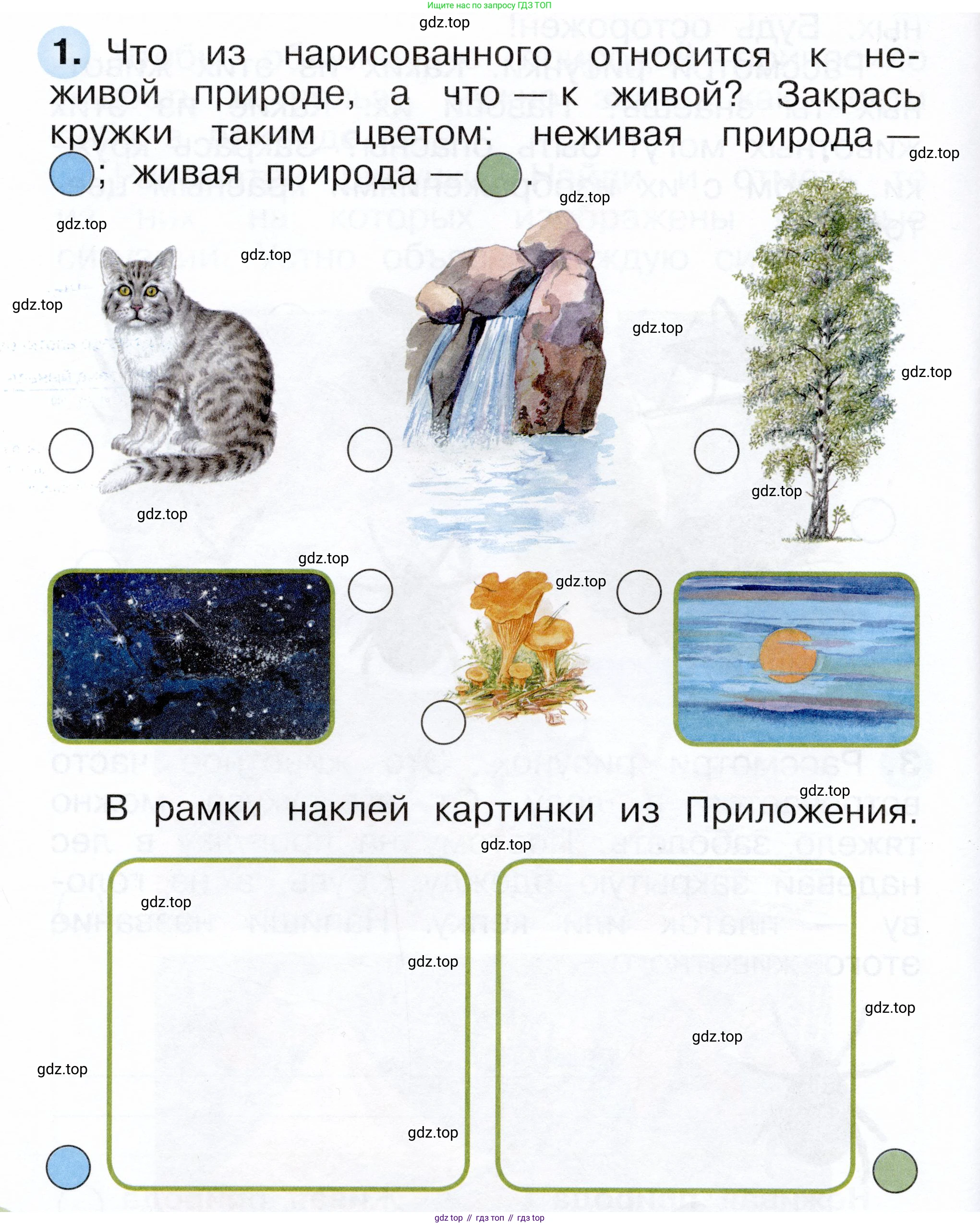 ГДЗ Окружающий мир, 1 класс рабочая тетрадь, авторы: Плешаков Андрей Анатольевич, Новицкая Марина Юрьевна, издательство Просвещение, Москва, 2023, белого цвета, Часть 1, страница 10, номер 1, Условие