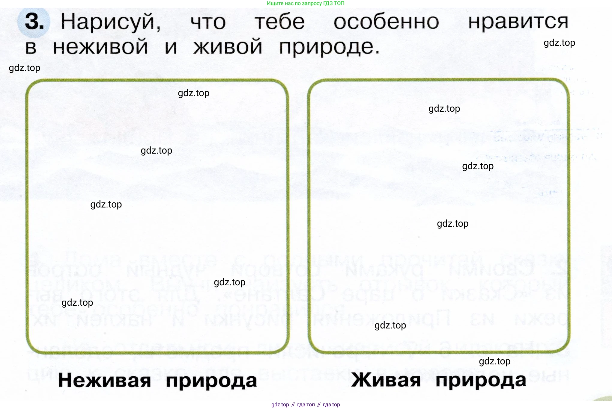 ГДЗ Окружающий мир, 1 класс рабочая тетрадь, авторы: Плешаков Андрей Анатольевич, Новицкая Марина Юрьевна, издательство Просвещение, Москва, 2023, белого цвета, Часть 1, страница 11, номер 3, Условие