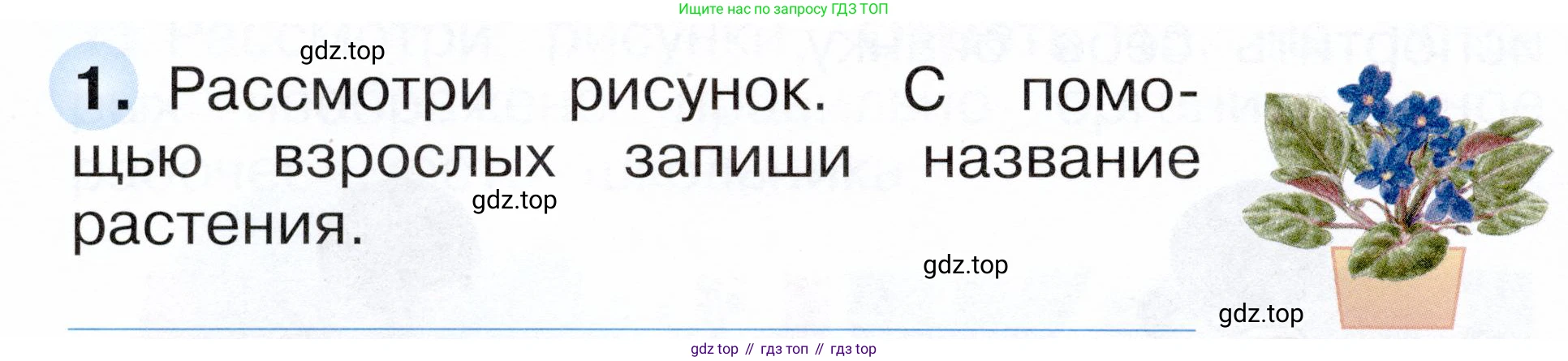 ГДЗ Окружающий мир, 1 класс рабочая тетрадь, авторы: Плешаков Андрей Анатольевич, Новицкая Марина Юрьевна, издательство Просвещение, Москва, 2023, белого цвета, Часть 1, страница 28, номер 1, Условие