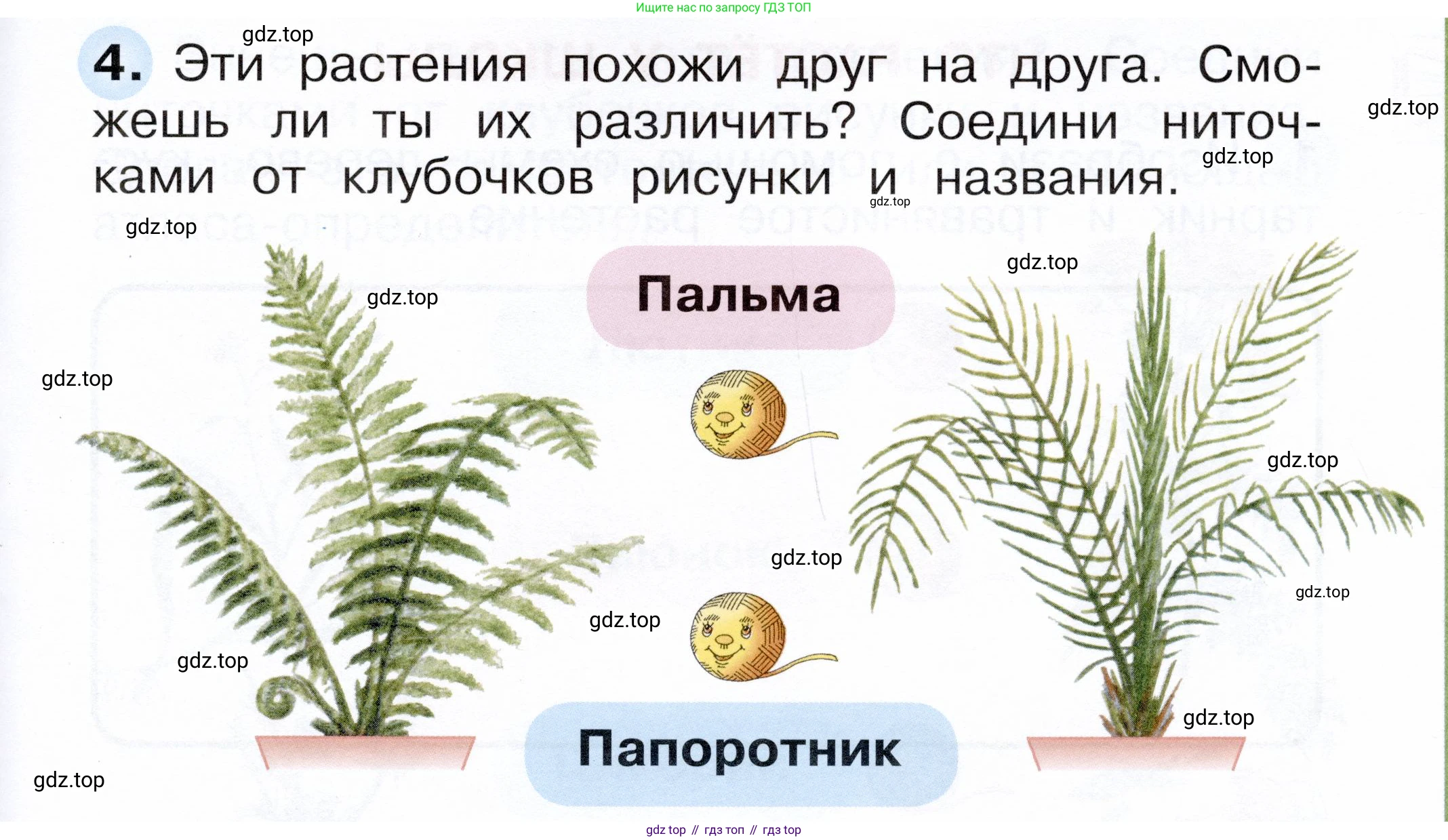 ГДЗ Окружающий мир, 1 класс рабочая тетрадь, авторы: Плешаков Андрей Анатольевич, Новицкая Марина Юрьевна, издательство Просвещение, Москва, 2023, белого цвета, Часть 1, страница 29, номер 4, Условие