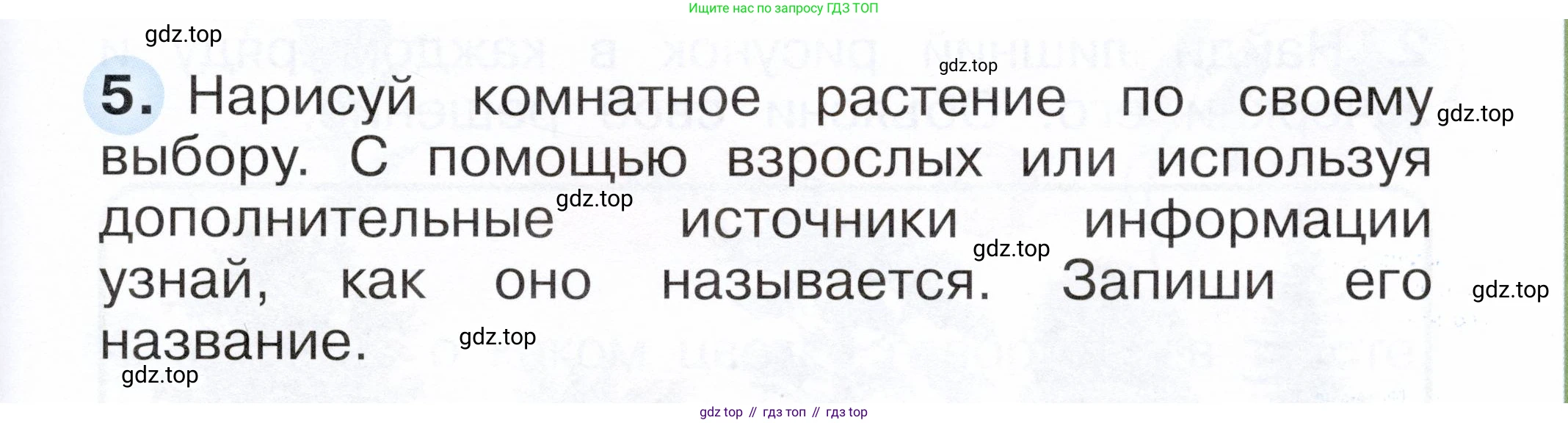ГДЗ Окружающий мир, 1 класс рабочая тетрадь, авторы: Плешаков Андрей Анатольевич, Новицкая Марина Юрьевна, издательство Просвещение, Москва, 2023, белого цвета, Часть 1, страница 29, номер 5, Условие