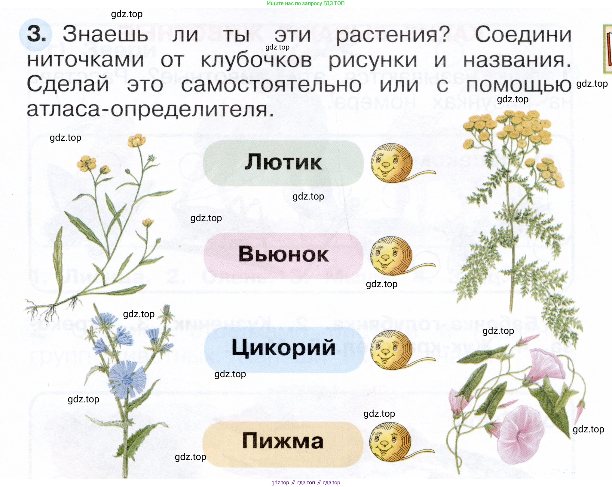 ГДЗ Окружающий мир, 1 класс рабочая тетрадь, авторы: Плешаков Андрей Анатольевич, Новицкая Марина Юрьевна, издательство Просвещение, Москва, 2023, белого цвета, Часть 1, страница 31, номер 3, Условие