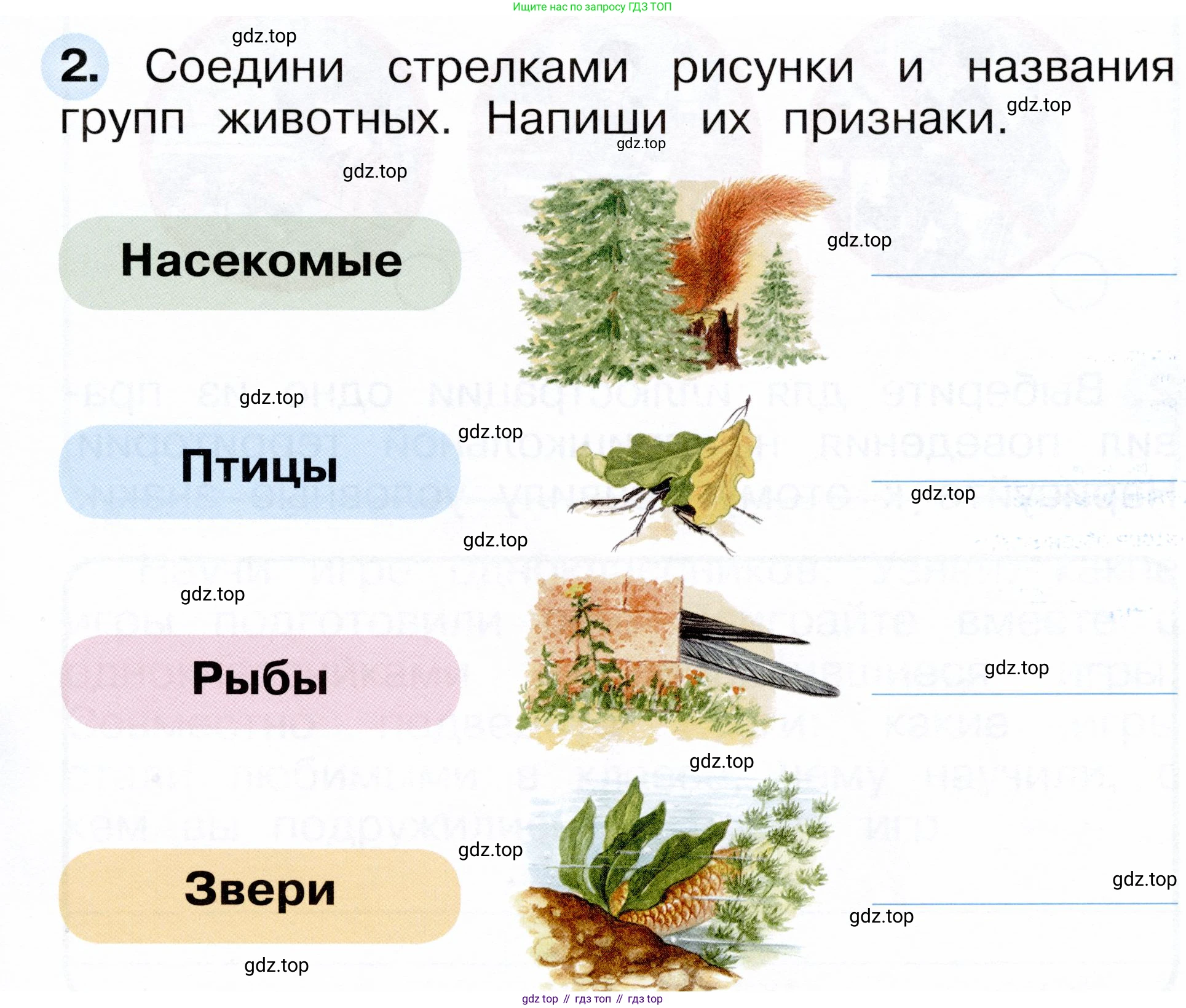 ГДЗ Окружающий мир, 1 класс рабочая тетрадь, авторы: Плешаков Андрей Анатольевич, Новицкая Марина Юрьевна, издательство Просвещение, Москва, 2023, белого цвета, Часть 1, страница 33, номер 2, Условие