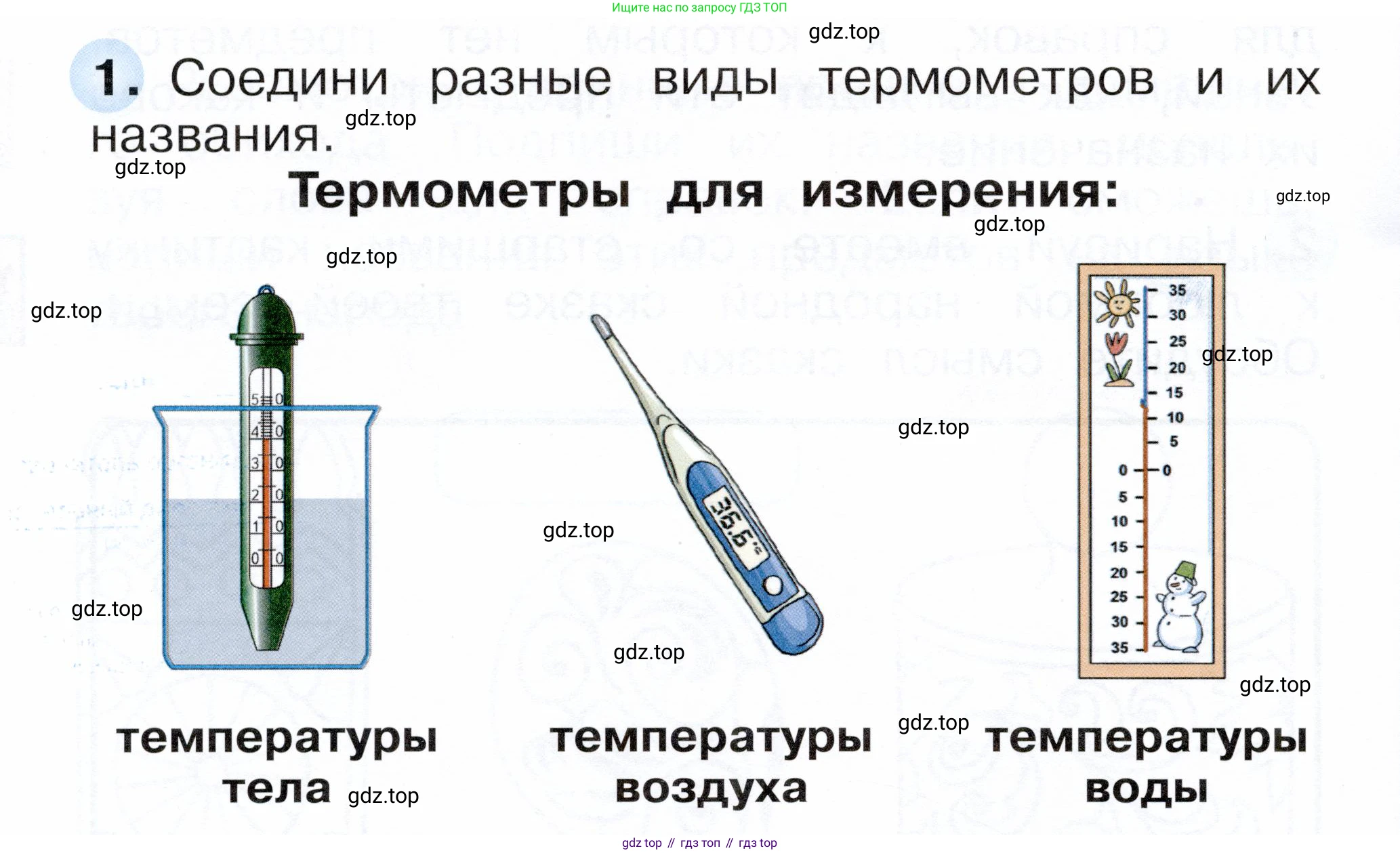 ГДЗ Окружающий мир, 1 класс рабочая тетрадь, авторы: Плешаков Андрей Анатольевич, Новицкая Марина Юрьевна, издательство Просвещение, Москва, 2023, белого цвета, Часть 1, страница 44, номер 1, Условие