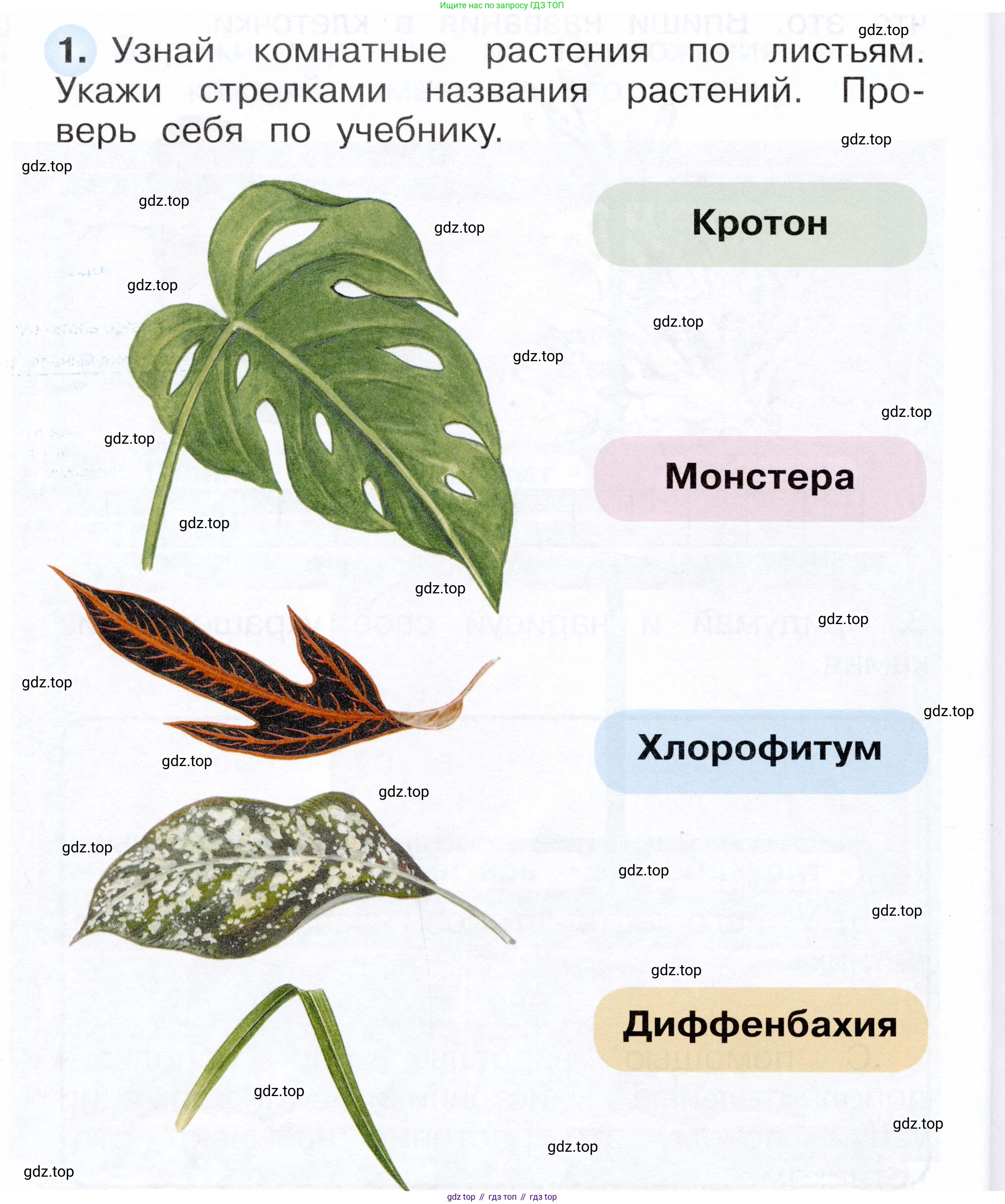 ГДЗ Окружающий мир, 1 класс рабочая тетрадь, авторы: Плешаков Андрей Анатольевич, Новицкая Марина Юрьевна, издательство Просвещение, Москва, 2023, белого цвета, Часть 1, страница 50, номер 1, Условие