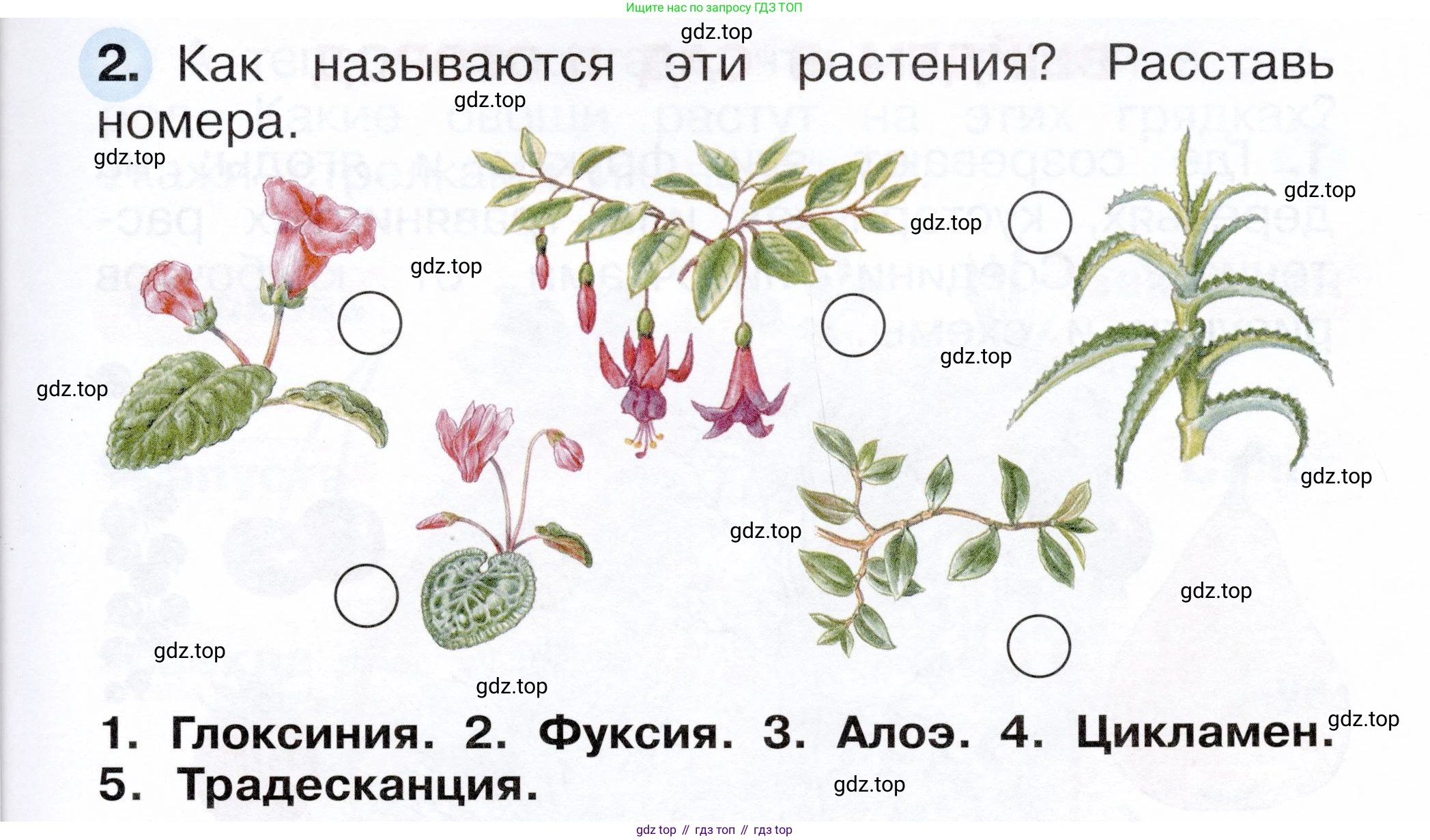 ГДЗ Окружающий мир, 1 класс рабочая тетрадь, авторы: Плешаков Андрей Анатольевич, Новицкая Марина Юрьевна, издательство Просвещение, Москва, 2023, белого цвета, Часть 1, страница 51, номер 2, Условие