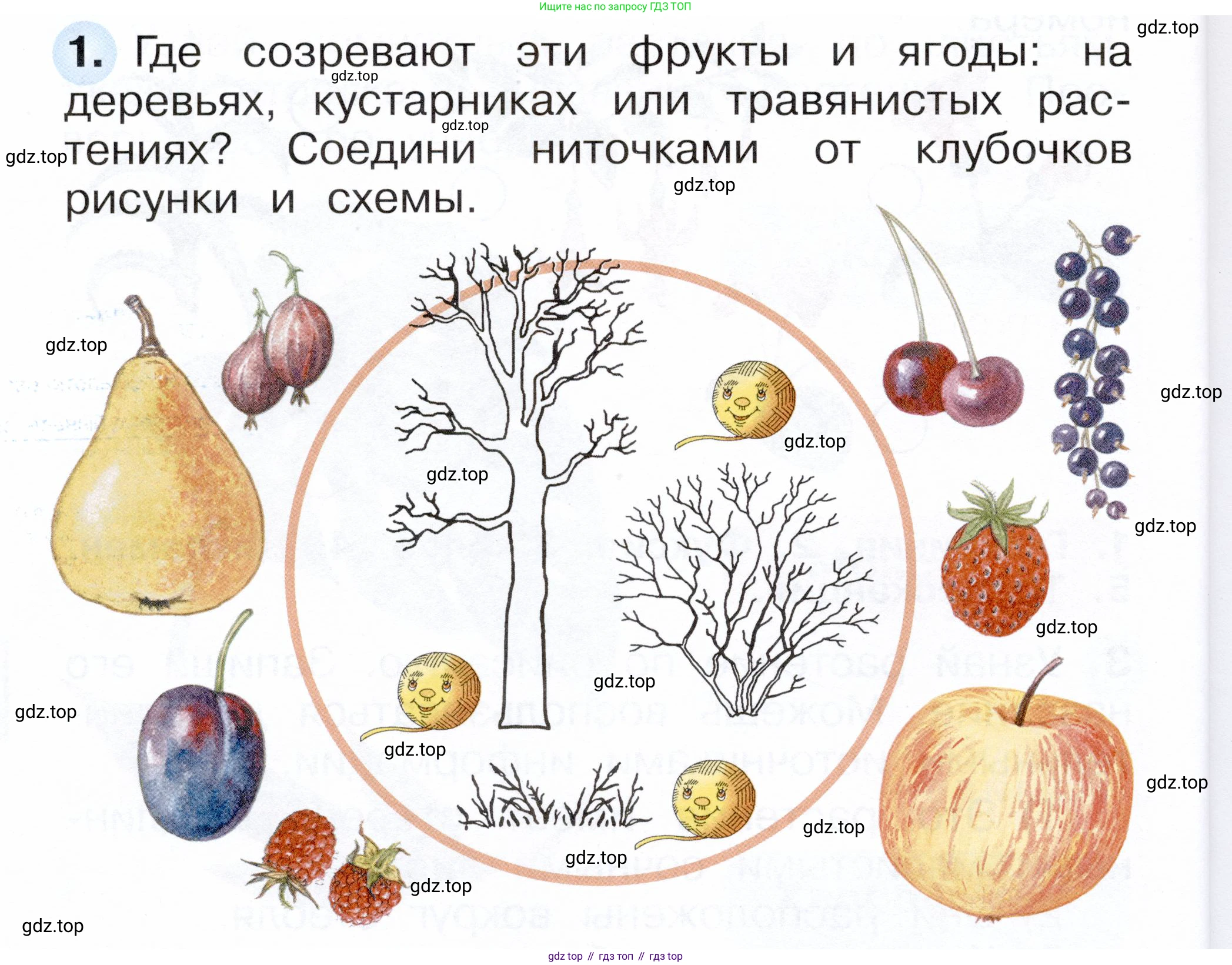 ГДЗ Окружающий мир, 1 класс рабочая тетрадь, авторы: Плешаков Андрей Анатольевич, Новицкая Марина Юрьевна, издательство Просвещение, Москва, 2023, белого цвета, Часть 1, страница 52, номер 1, Условие