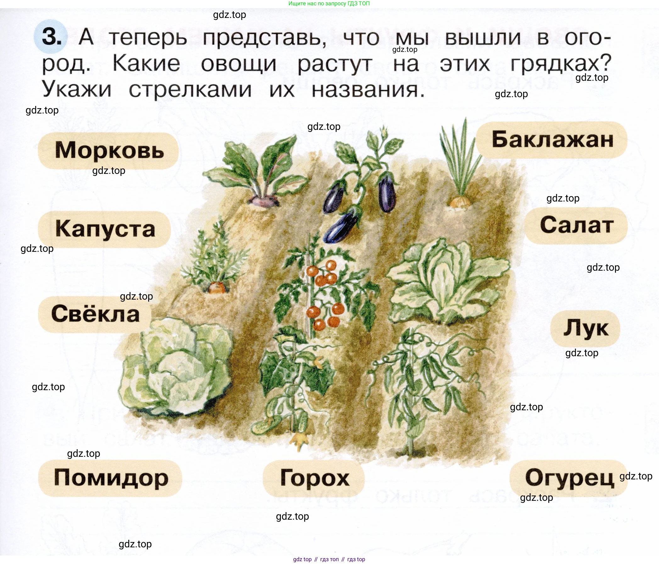 ГДЗ Окружающий мир, 1 класс рабочая тетрадь, авторы: Плешаков Андрей Анатольевич, Новицкая Марина Юрьевна, издательство Просвещение, Москва, 2023, белого цвета, Часть 1, страница 53, номер 3, Условие
