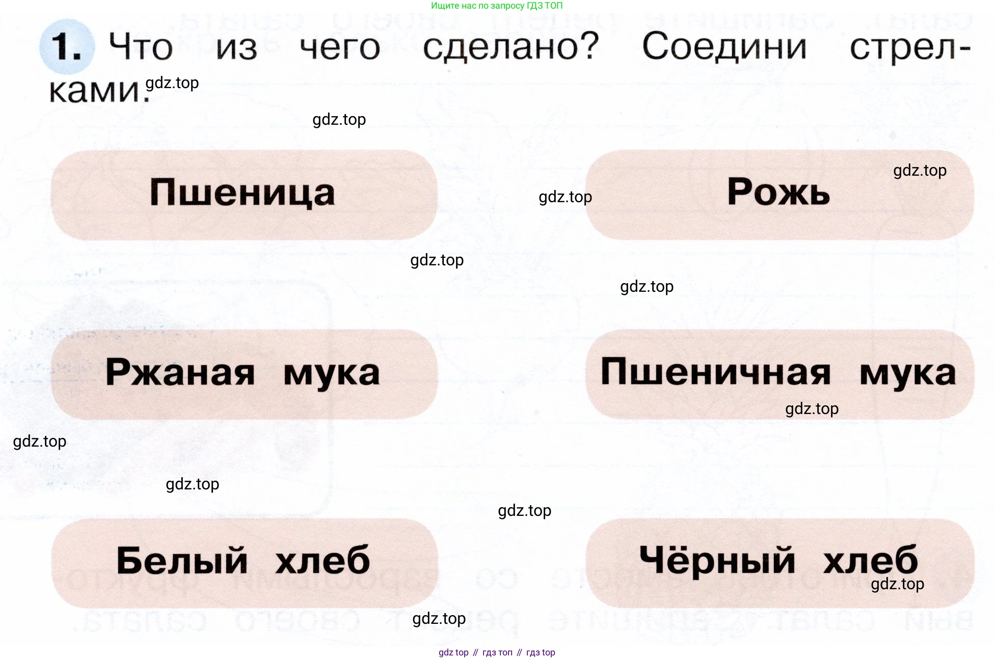ГДЗ Окружающий мир, 1 класс рабочая тетрадь, авторы: Плешаков Андрей Анатольевич, Новицкая Марина Юрьевна, издательство Просвещение, Москва, 2023, белого цвета, Часть 1, страница 56, номер 1, Условие