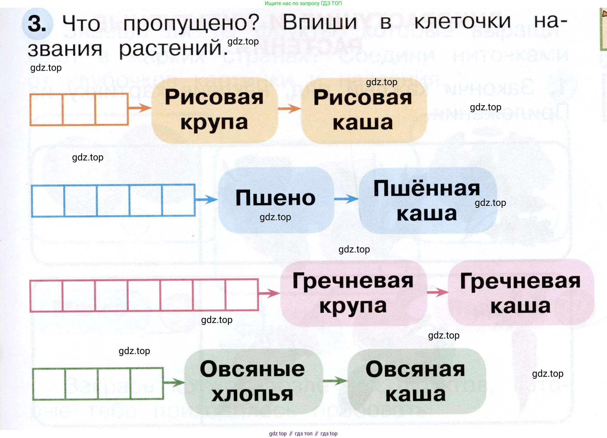ГДЗ Окружающий мир, 1 класс рабочая тетрадь, авторы: Плешаков Андрей Анатольевич, Новицкая Марина Юрьевна, издательство Просвещение, Москва, 2023, белого цвета, Часть 1, страница 57, номер 3, Условие