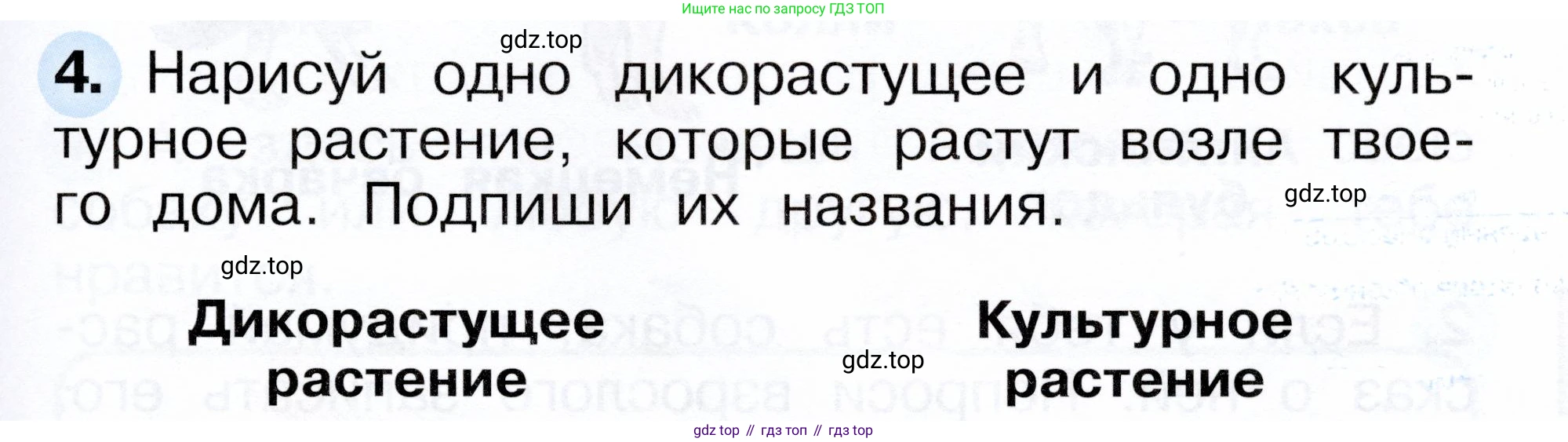 ГДЗ Окружающий мир, 1 класс рабочая тетрадь, авторы: Плешаков Андрей Анатольевич, Новицкая Марина Юрьевна, издательство Просвещение, Москва, 2023, белого цвета, Часть 1, страница 59, номер 4, Условие