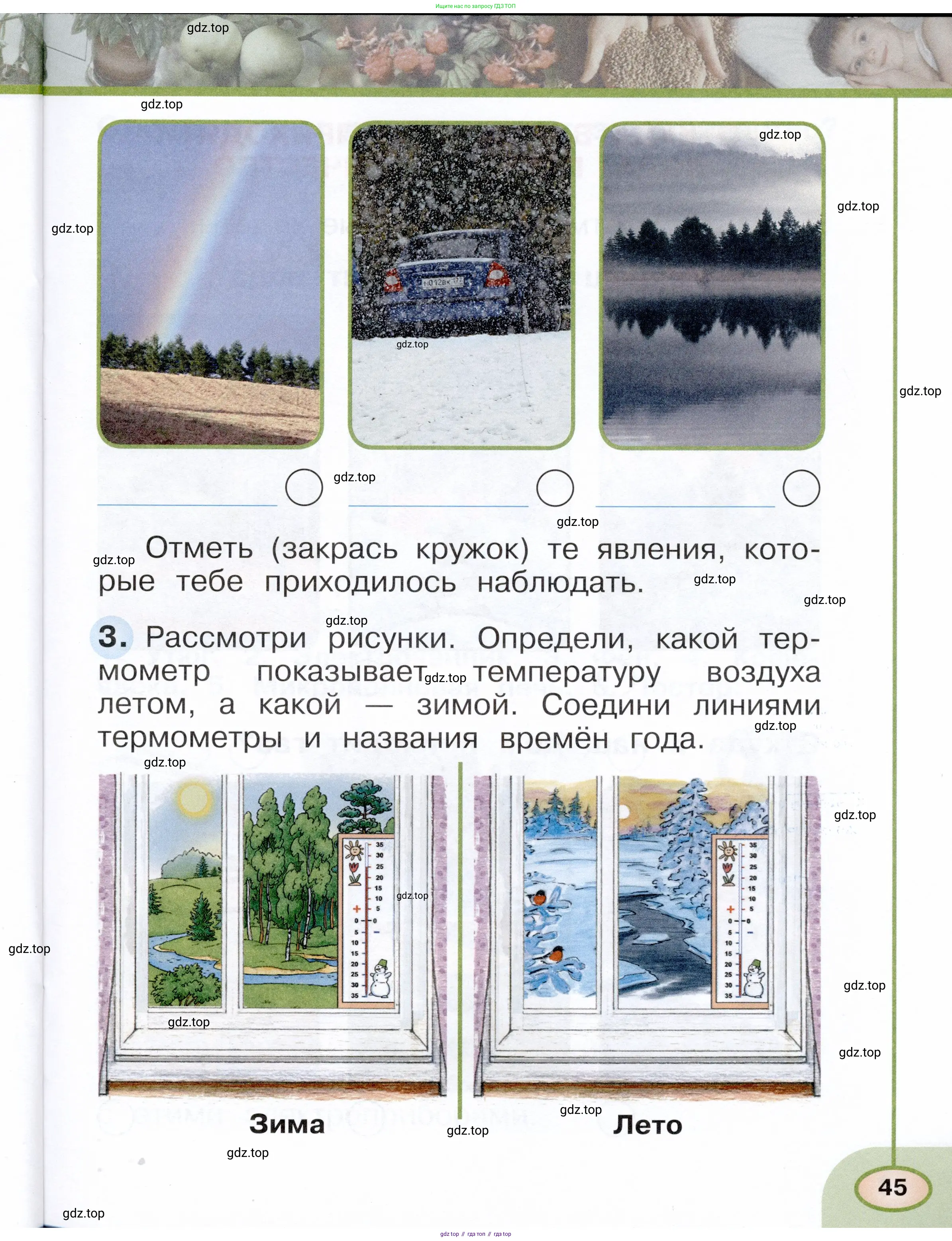 Окружающий мир, 1 класс рабочая тетрадь, авторы: Плешаков Андрей Анатольевич, Новицкая Марина Юрьевна, издательство Просвещение, Москва, 2023, белого цвета, Часть 1, страница 45