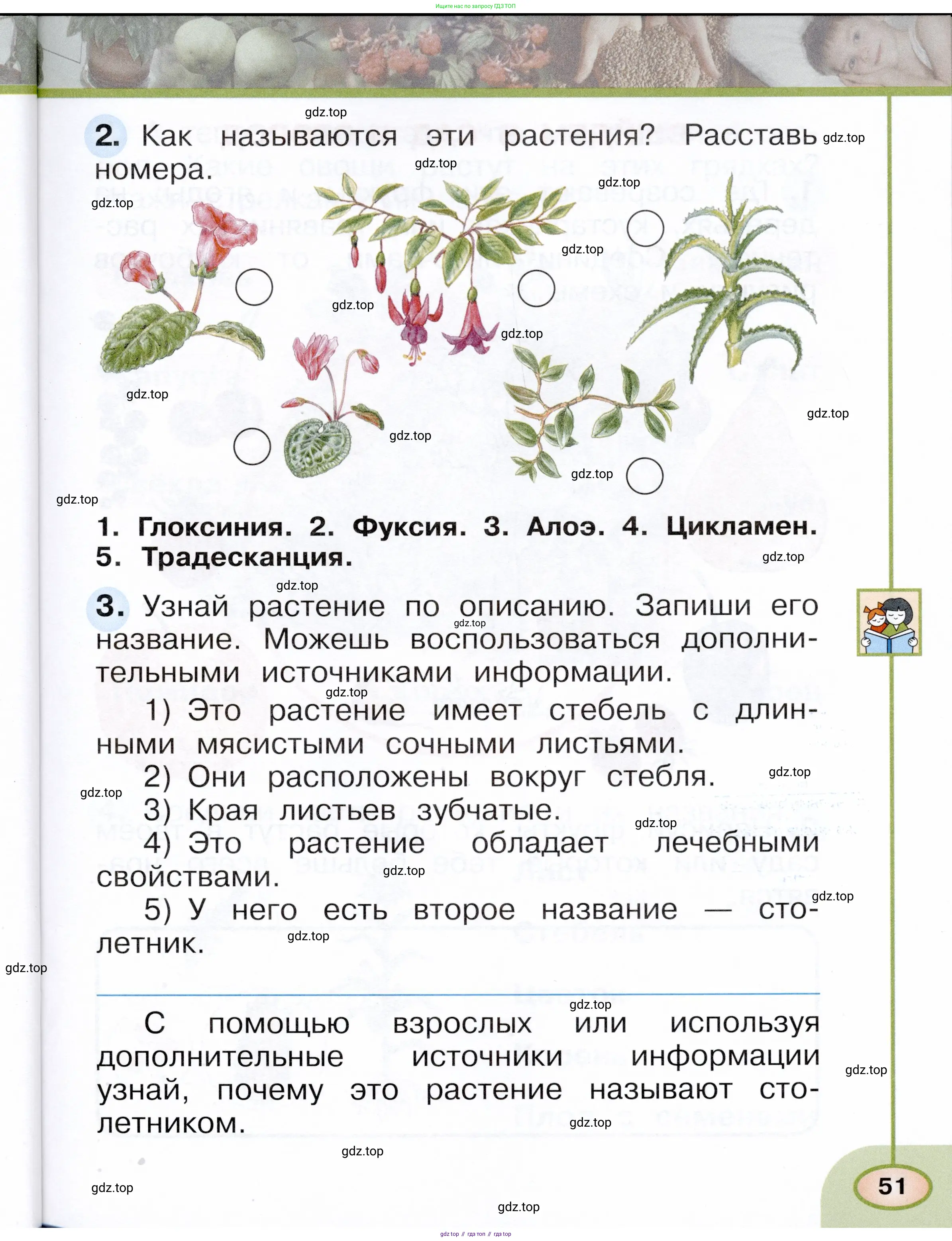 Окружающий мир, 1 класс рабочая тетрадь, авторы: Плешаков Андрей Анатольевич, Новицкая Марина Юрьевна, издательство Просвещение, Москва, 2023, белого цвета, Часть 1, страница 51