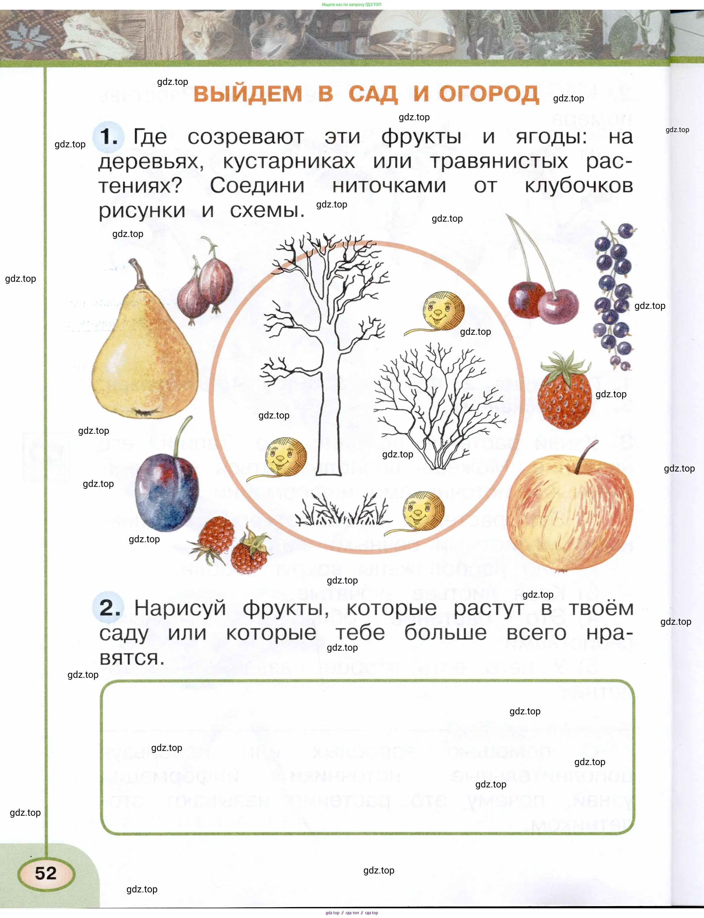 Окружающий мир, 1 класс рабочая тетрадь, авторы: Плешаков Андрей Анатольевич, Новицкая Марина Юрьевна, издательство Просвещение, Москва, 2023, белого цвета, Часть 1, страница 52