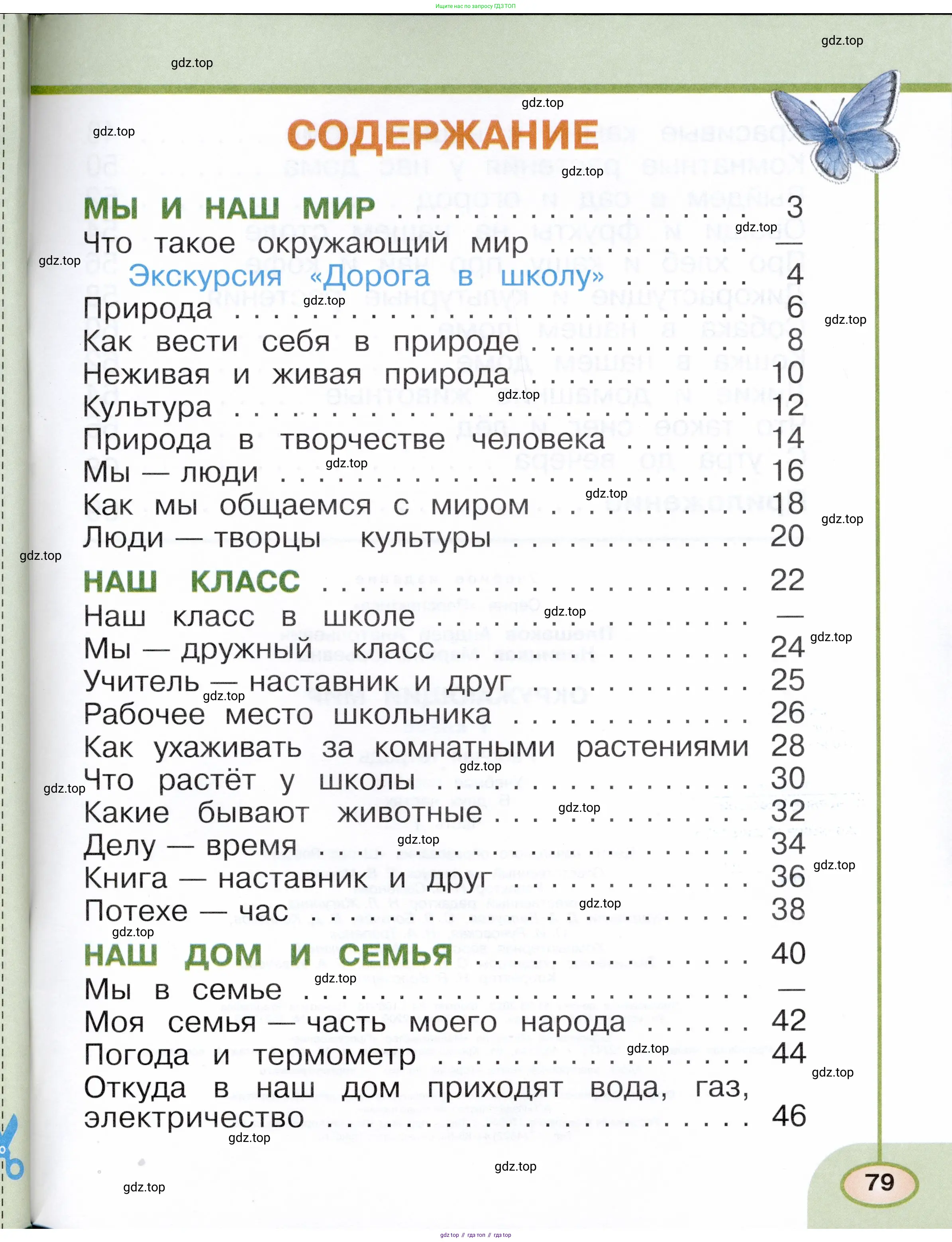 Окружающий мир, 1 класс рабочая тетрадь, авторы: Плешаков Андрей Анатольевич, Новицкая Марина Юрьевна, издательство Просвещение, Москва, 2023, белого цвета, страница 79
