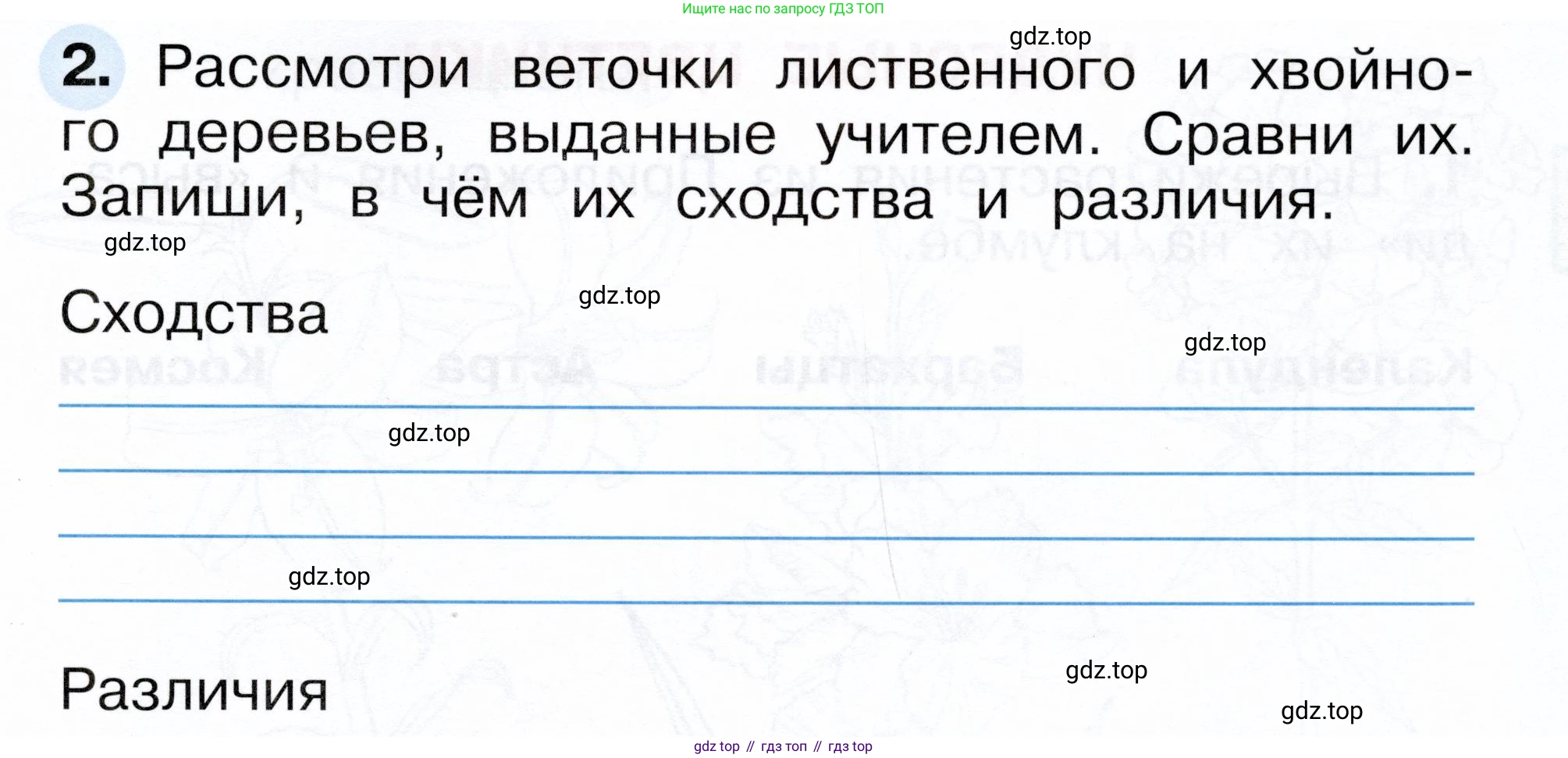 ГДЗ Окружающий мир, 1 класс рабочая тетрадь, авторы: Плешаков Андрей Анатольевич, Новицкая Марина Юрьевна, издательство Просвещение, Москва, 2023, белого цвета, Часть 2, страница 13, номер 2, Условие