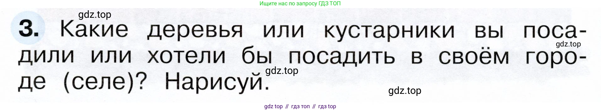 ГДЗ Окружающий мир, 1 класс рабочая тетрадь, авторы: Плешаков Андрей Анатольевич, Новицкая Марина Юрьевна, издательство Просвещение, Москва, 2023, белого цвета, Часть 2, страница 13, номер 3, Условие