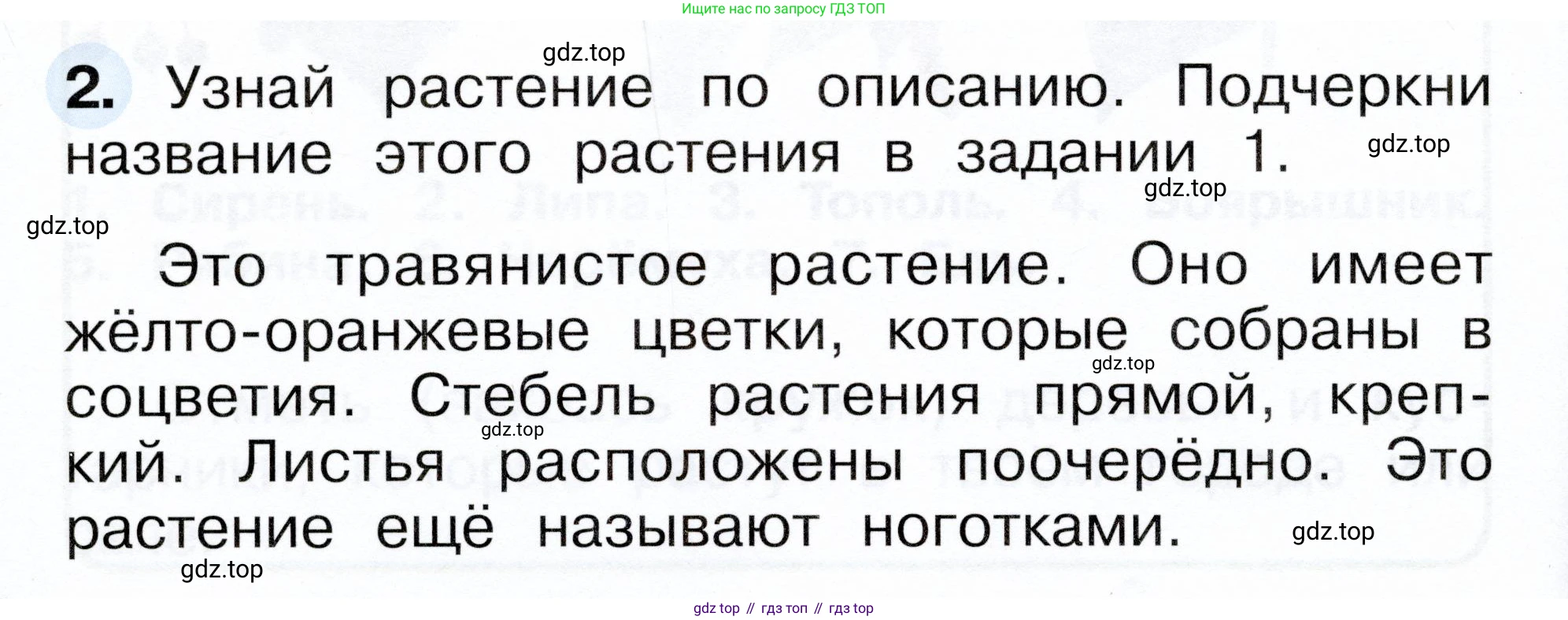ГДЗ Окружающий мир, 1 класс рабочая тетрадь, авторы: Плешаков Андрей Анатольевич, Новицкая Марина Юрьевна, издательство Просвещение, Москва, 2023, белого цвета, Часть 2, страница 14, номер 2, Условие