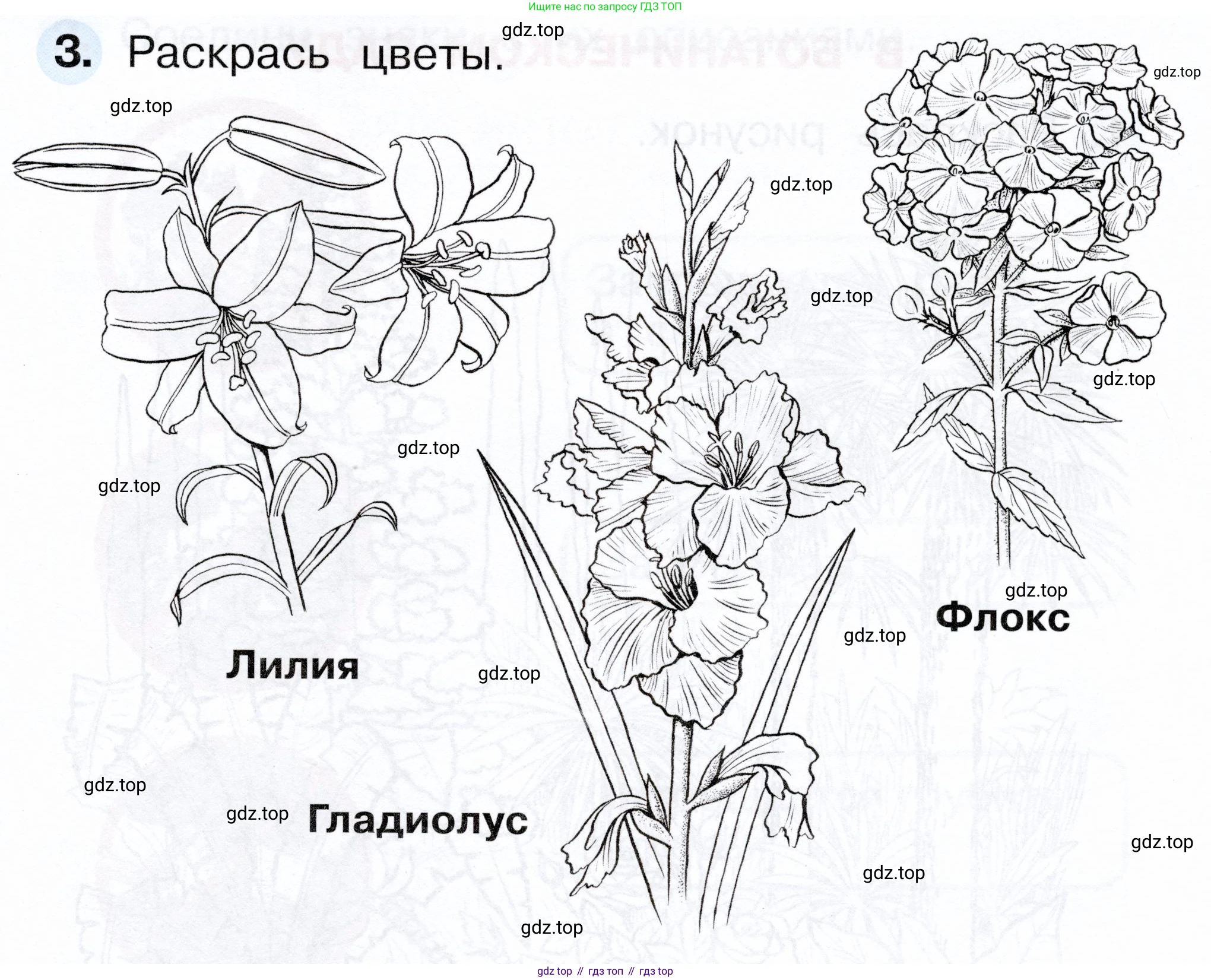 ГДЗ Окружающий мир, 1 класс рабочая тетрадь, авторы: Плешаков Андрей Анатольевич, Новицкая Марина Юрьевна, издательство Просвещение, Москва, 2023, белого цвета, Часть 2, страница 15, номер 3, Условие