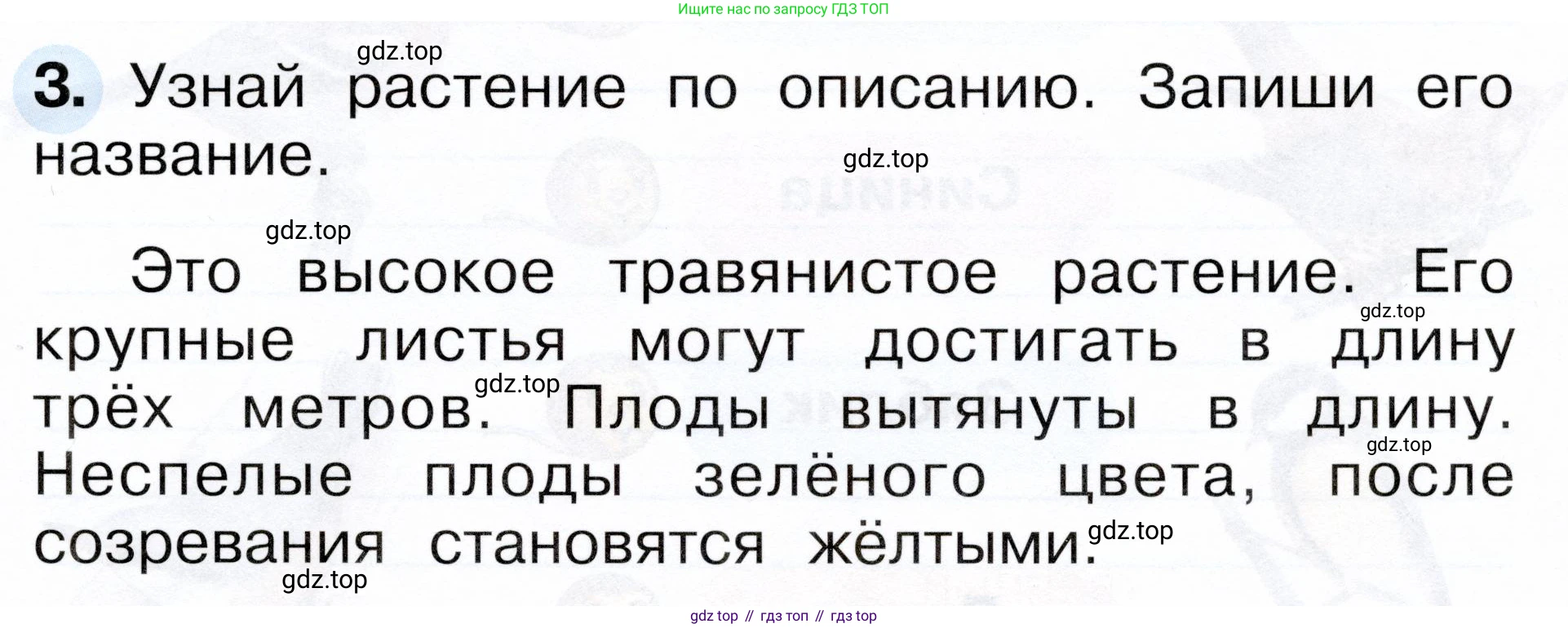 ГДЗ Окружающий мир, 1 класс рабочая тетрадь, авторы: Плешаков Андрей Анатольевич, Новицкая Марина Юрьевна, издательство Просвещение, Москва, 2023, белого цвета, Часть 2, страница 17, номер 3, Условие